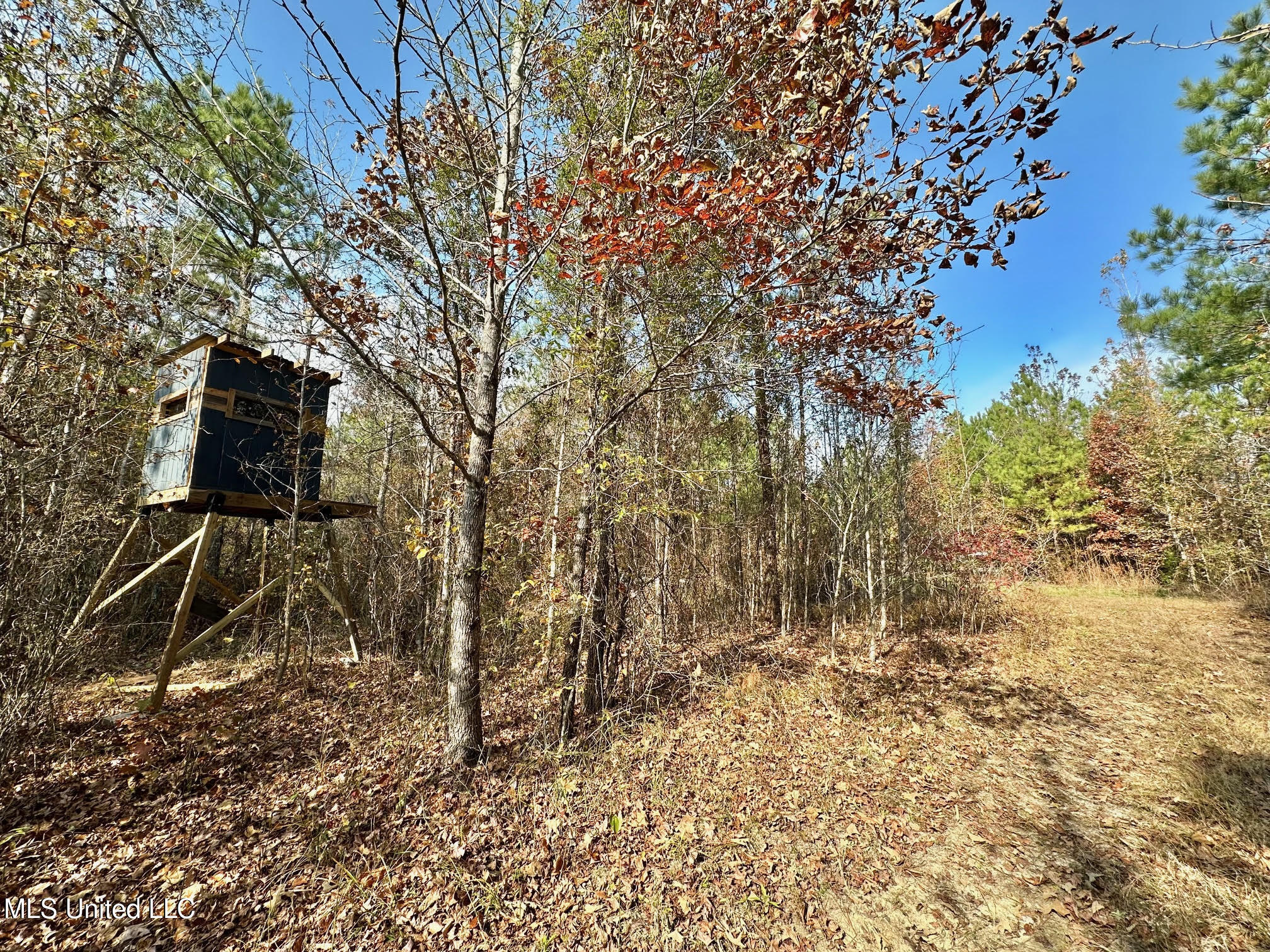 3 County Road 3122