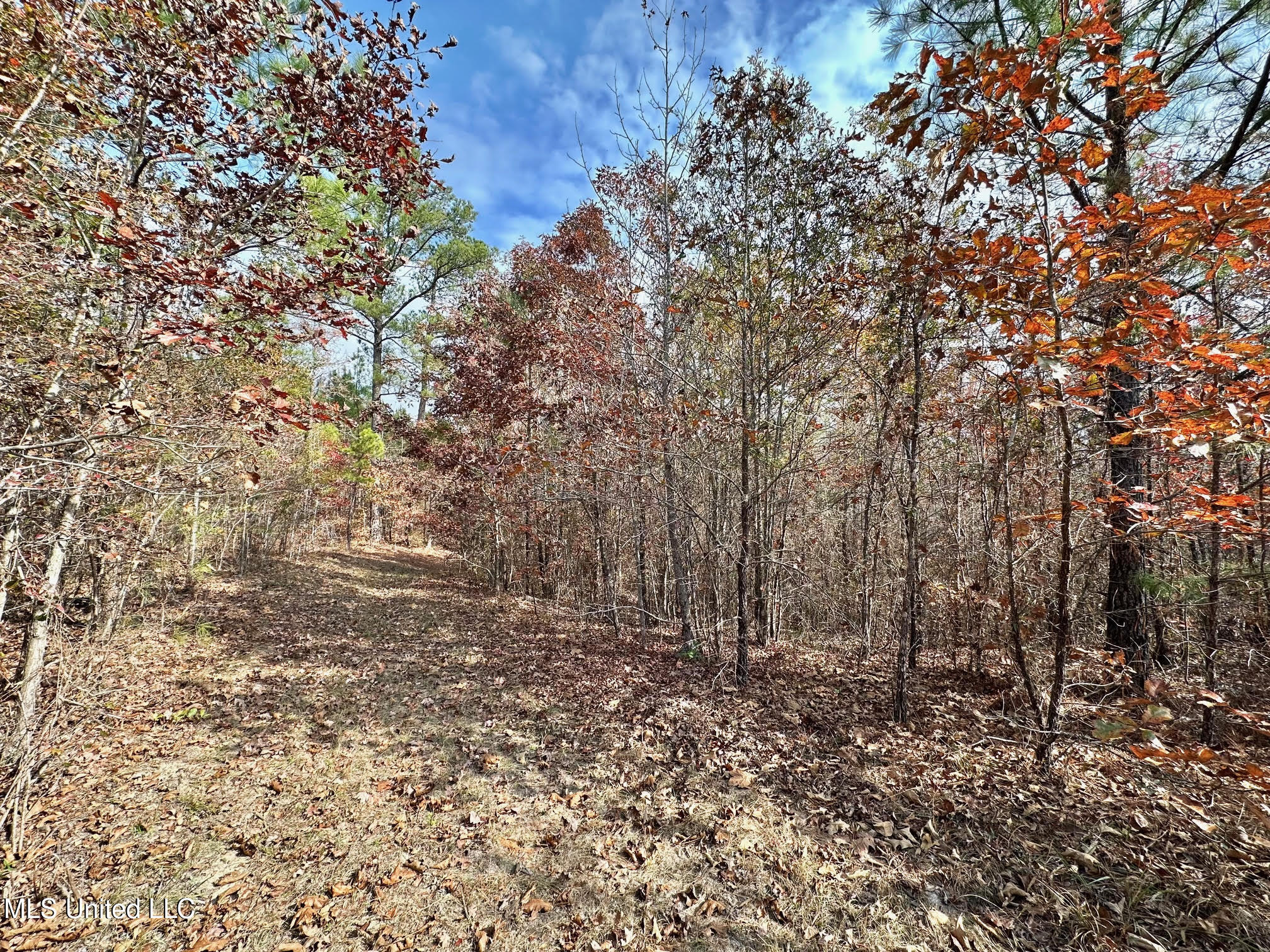 3 County Road 3122 Property Photo 3