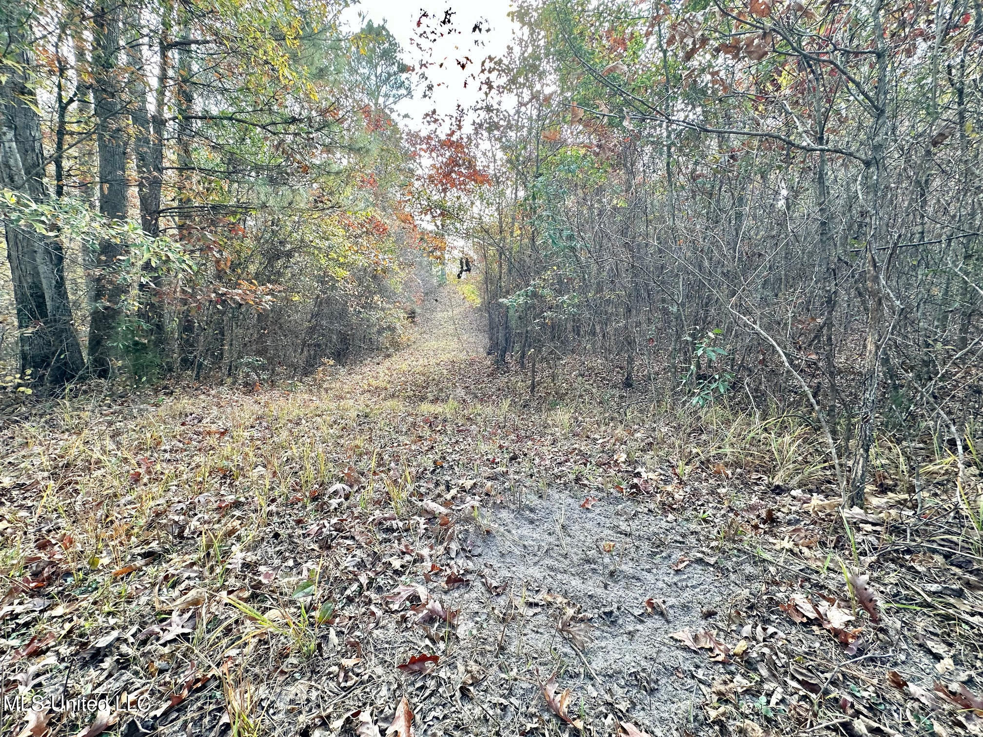 3 County Road 3122 Property Photo 4
