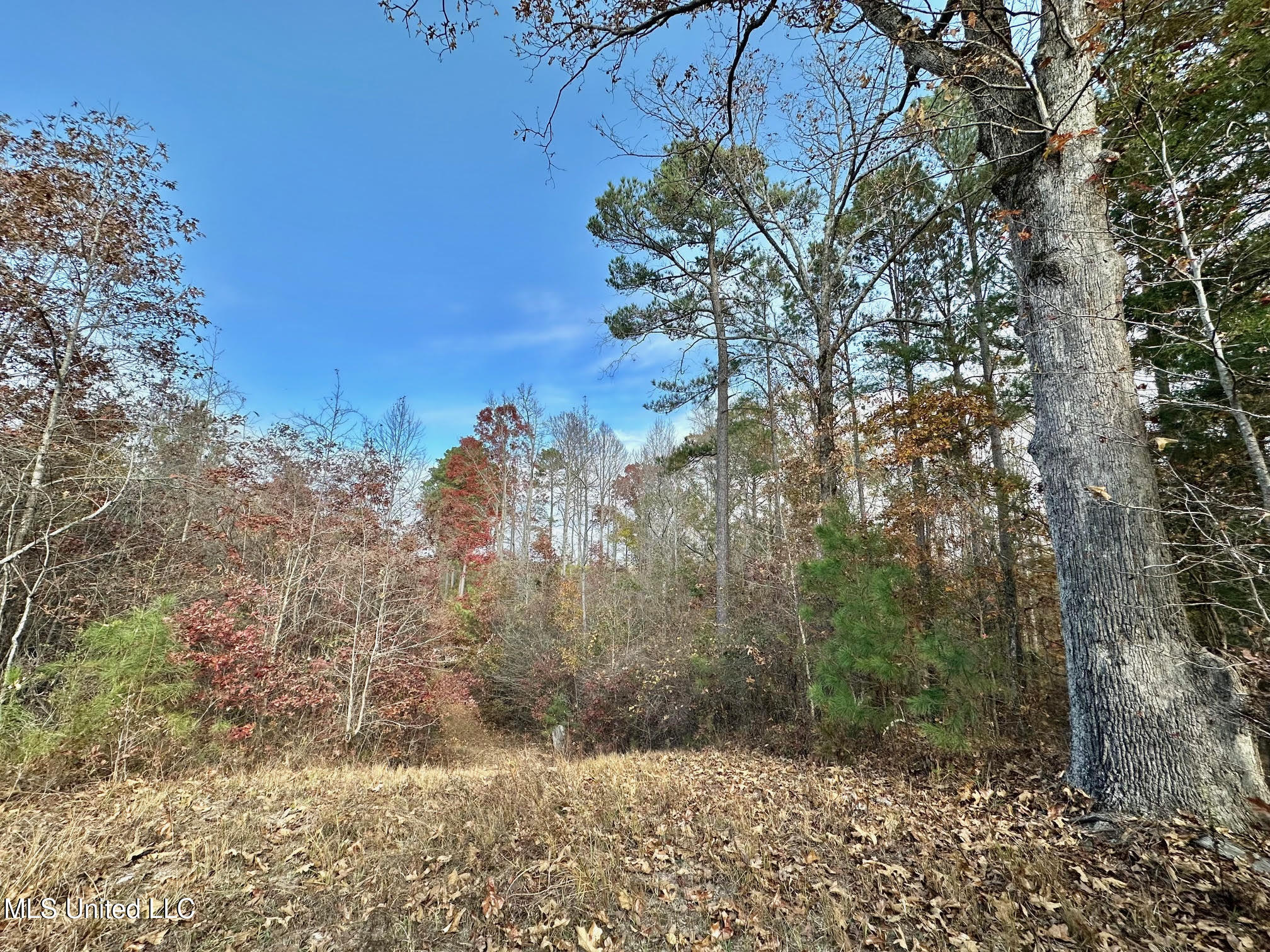 3 County Road 3122 Property Photo 5