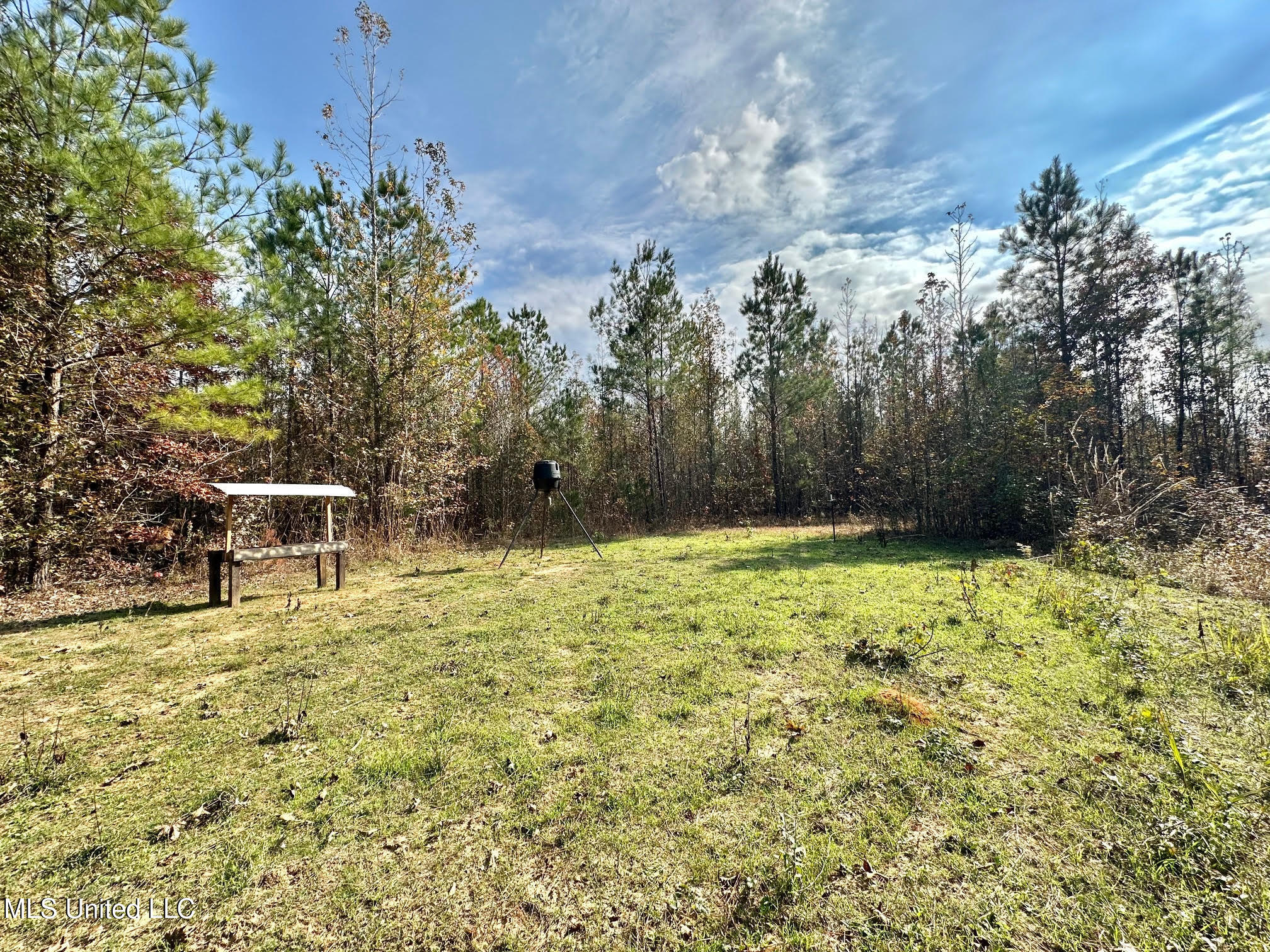 3 County Road 3122 Property Photo 8