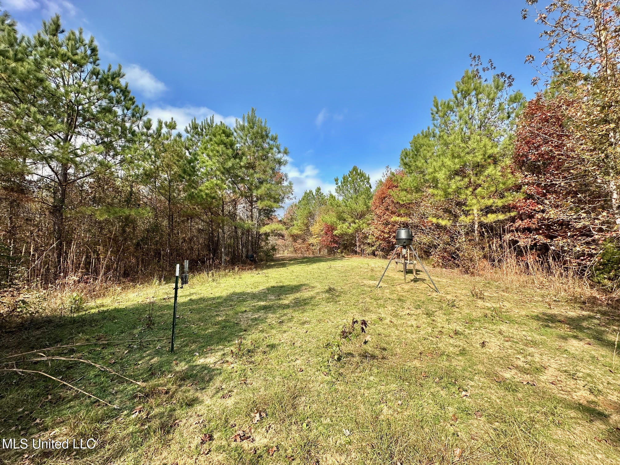 3 County Road 3122 Property Photo 10