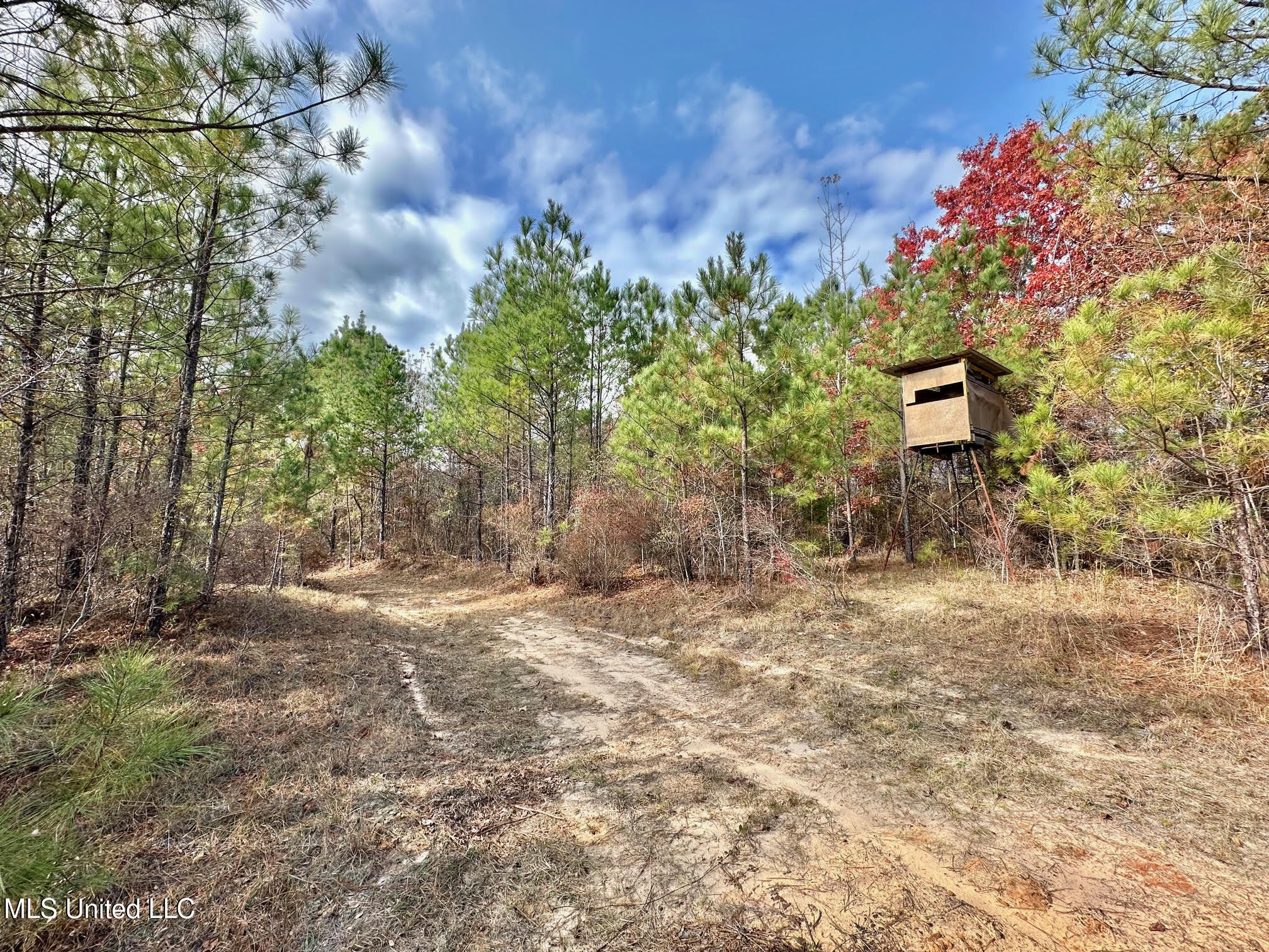 3 County Road 3122 Property Photo 12