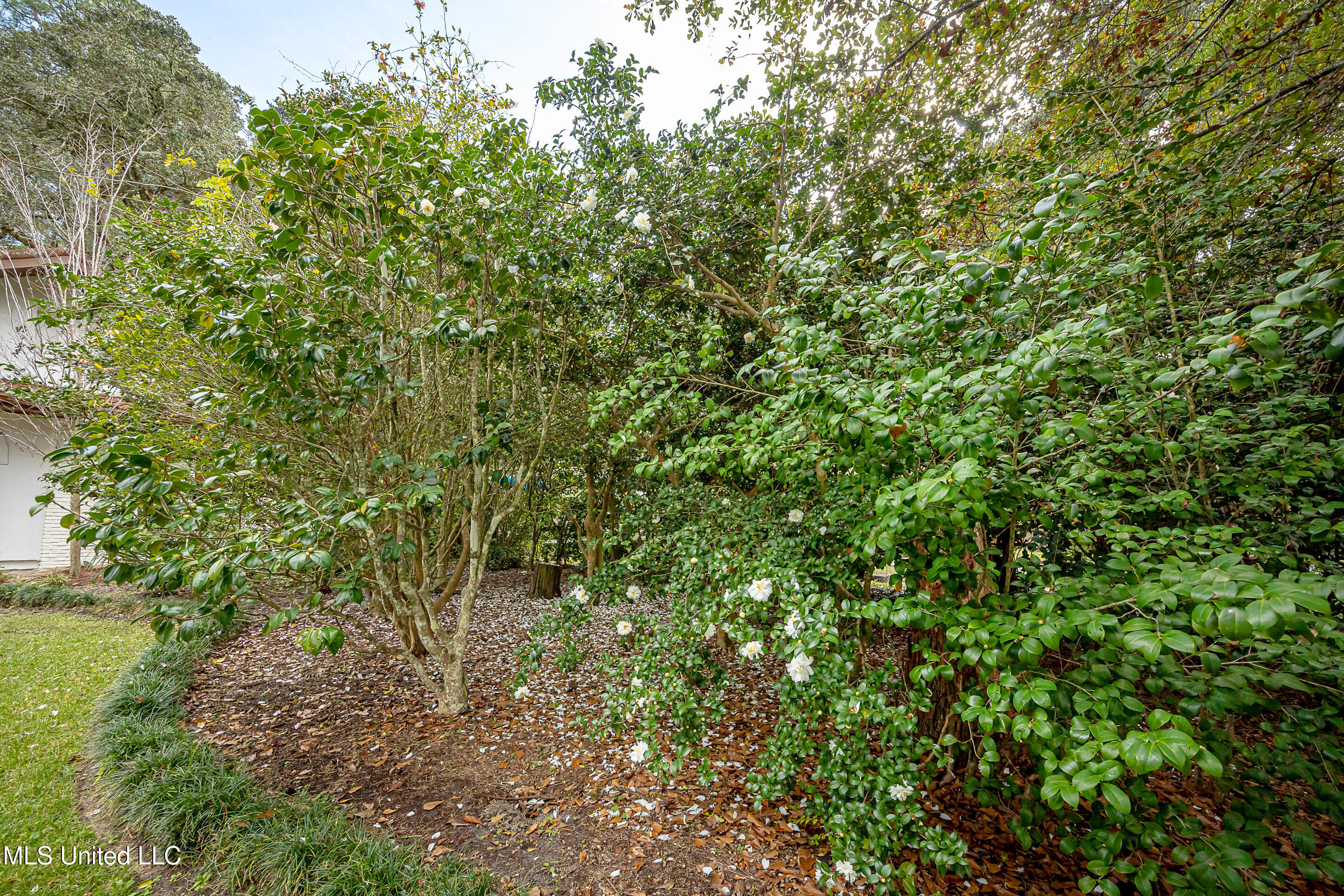 132 Pine Drive Property Photo 84