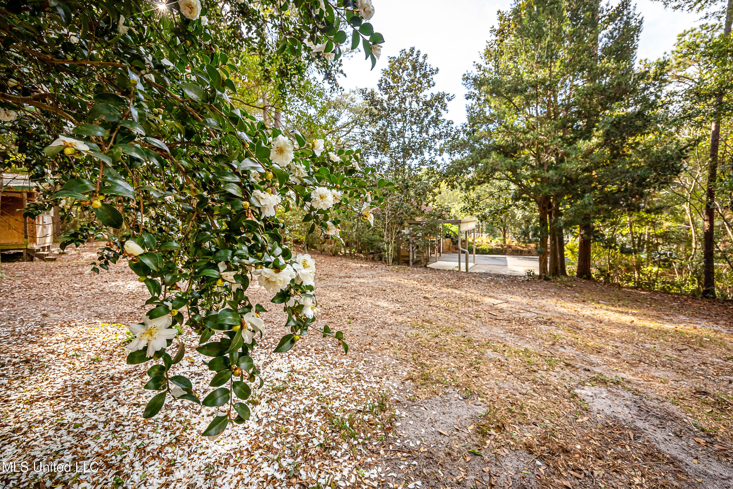 132 Pine Drive Property Photo 104