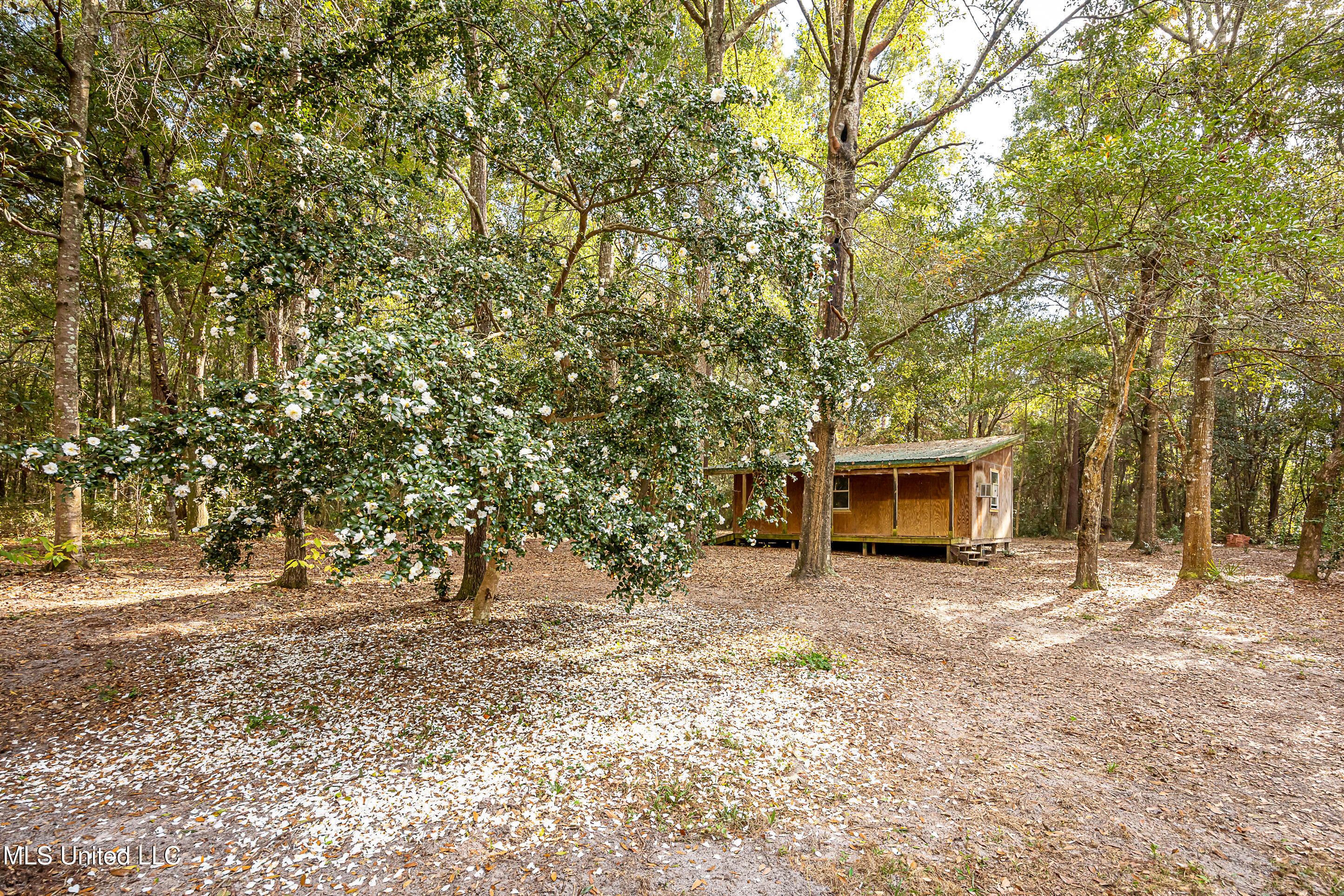 132 Pine Drive Property Photo 105