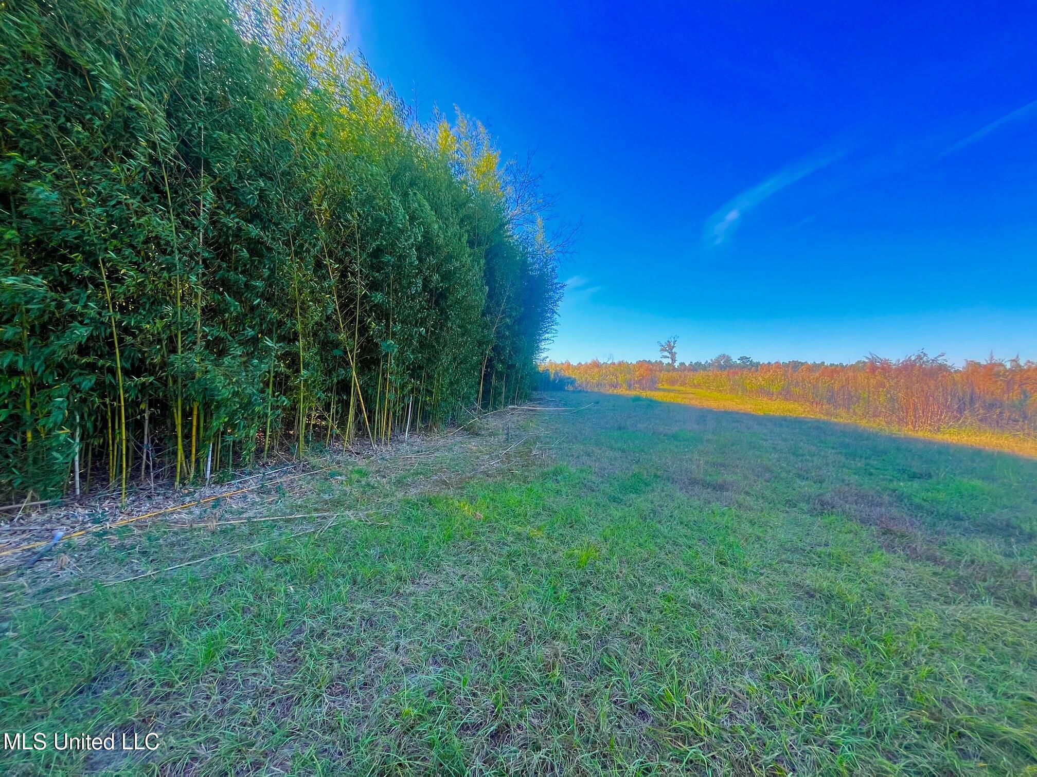 Darbun China Grove Road Property Photo 1