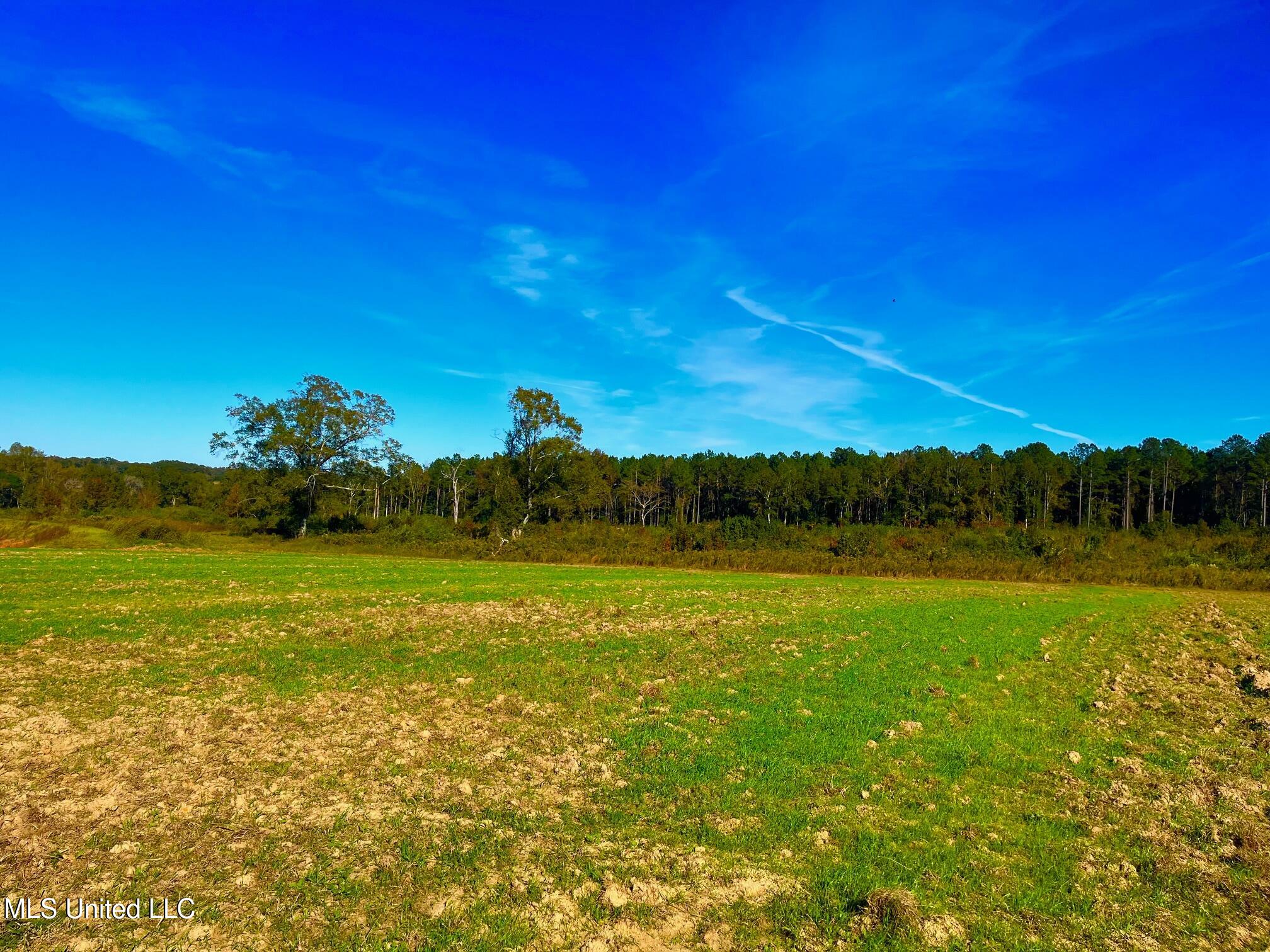 Darbun China Grove Road Property Photo 3