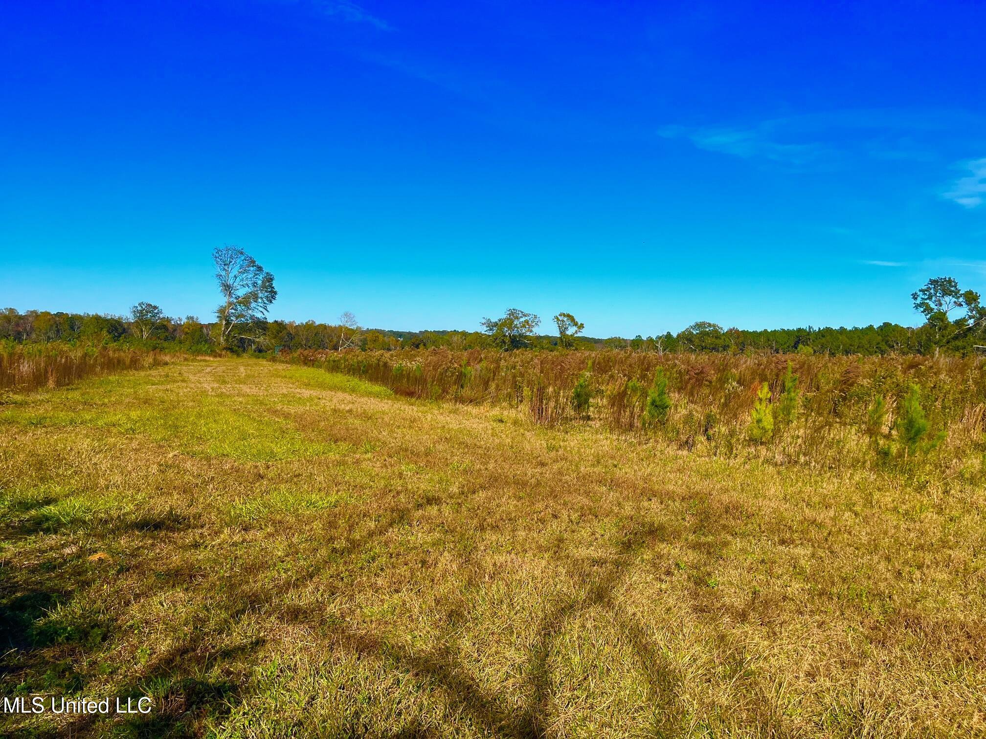 Darbun China Grove Road Property Photo 6