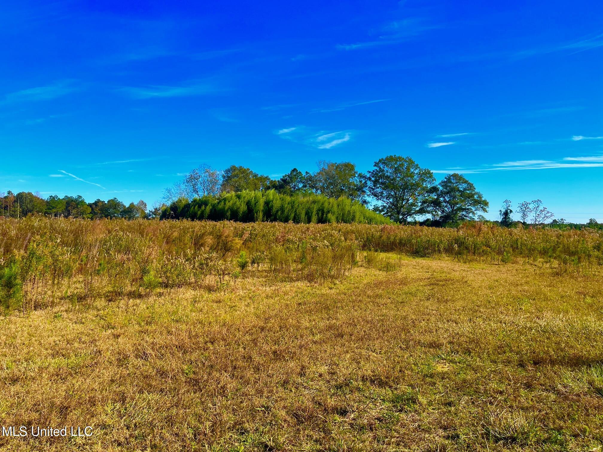Darbun China Grove Road Property Photo 7