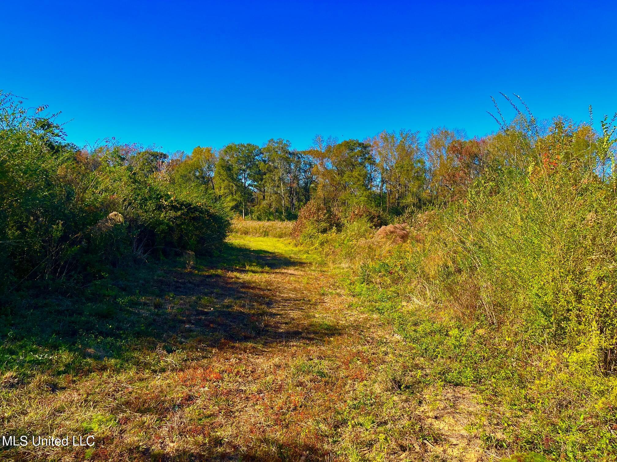 Darbun China Grove Road Property Photo 9