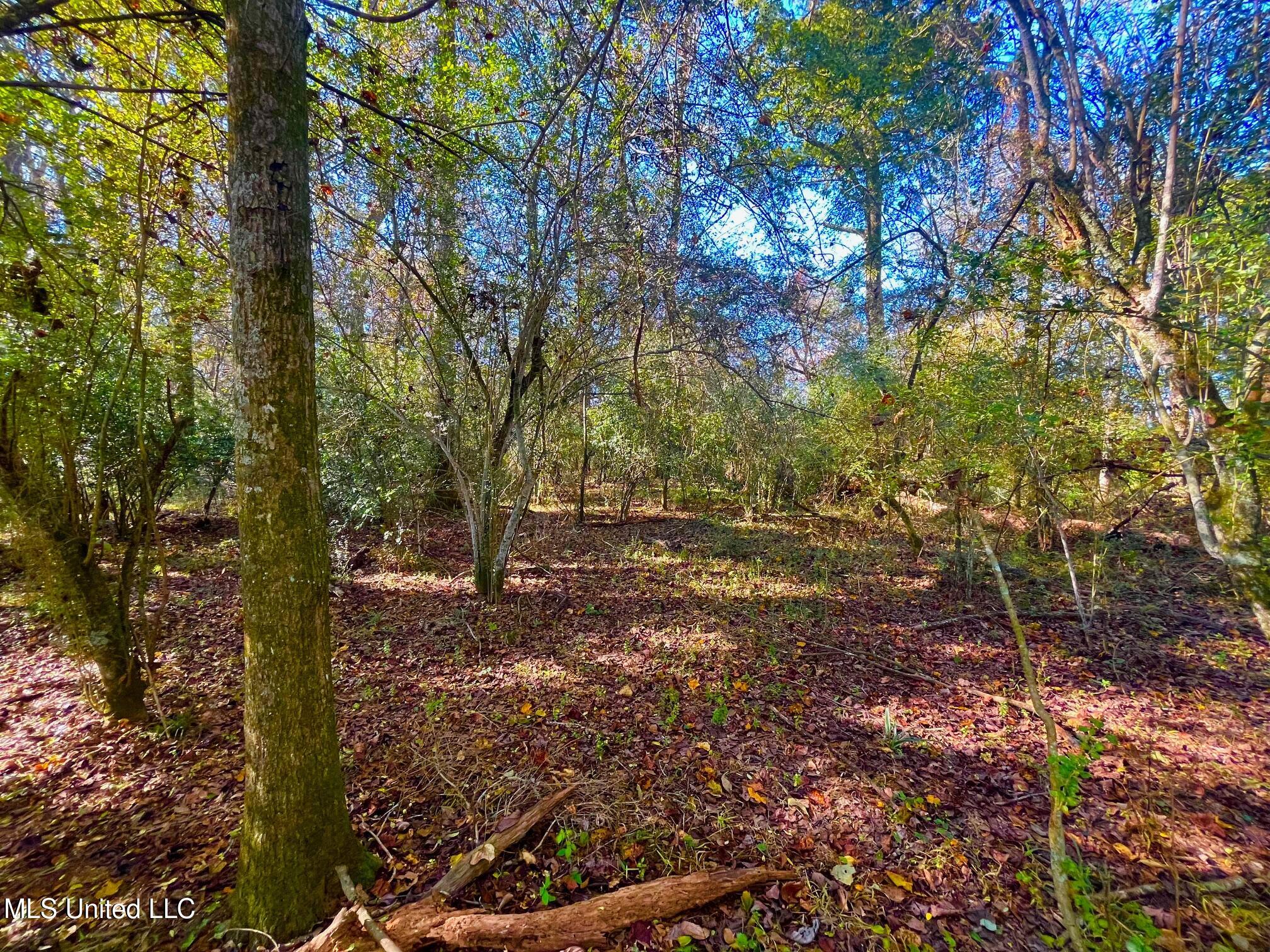 Darbun China Grove Road Property Photo 11