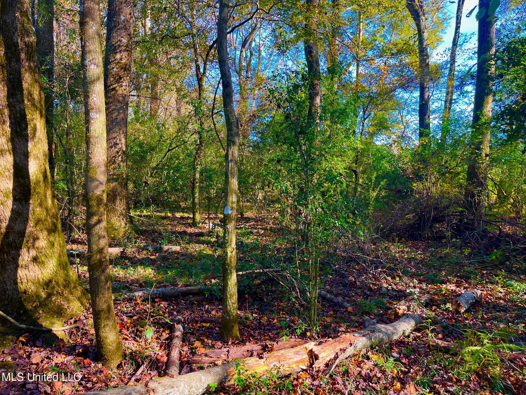 Darbun China Grove Road Property Photo 13