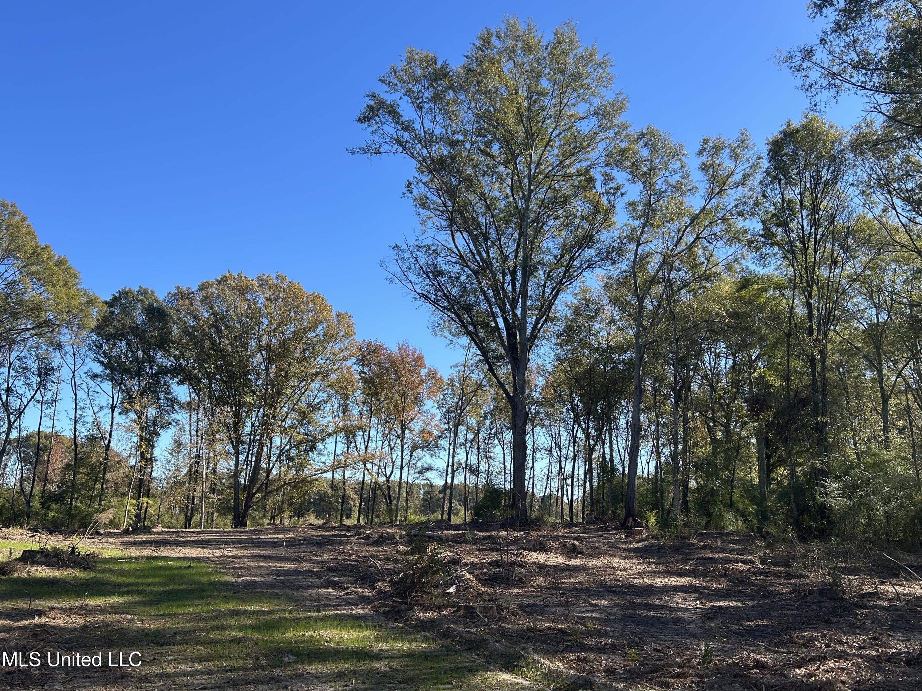 No Warren Cook Road Property Photo 3