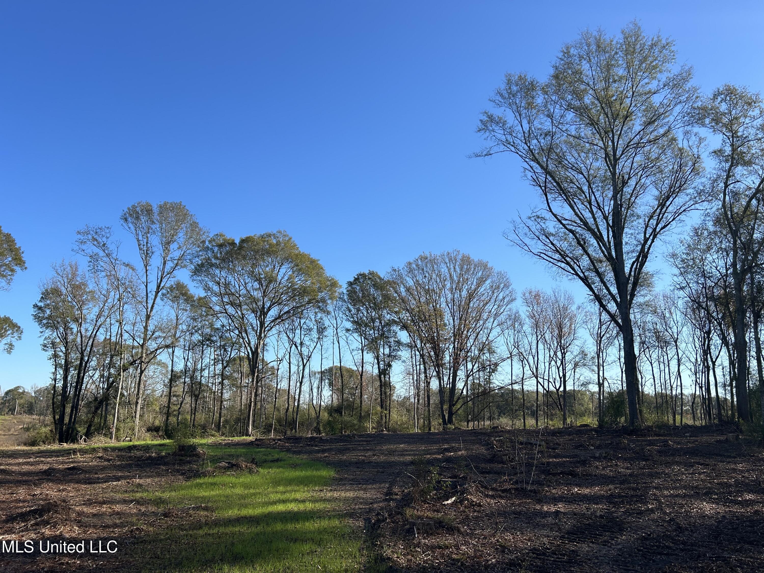 No Warren Cook Road Property Photo 6