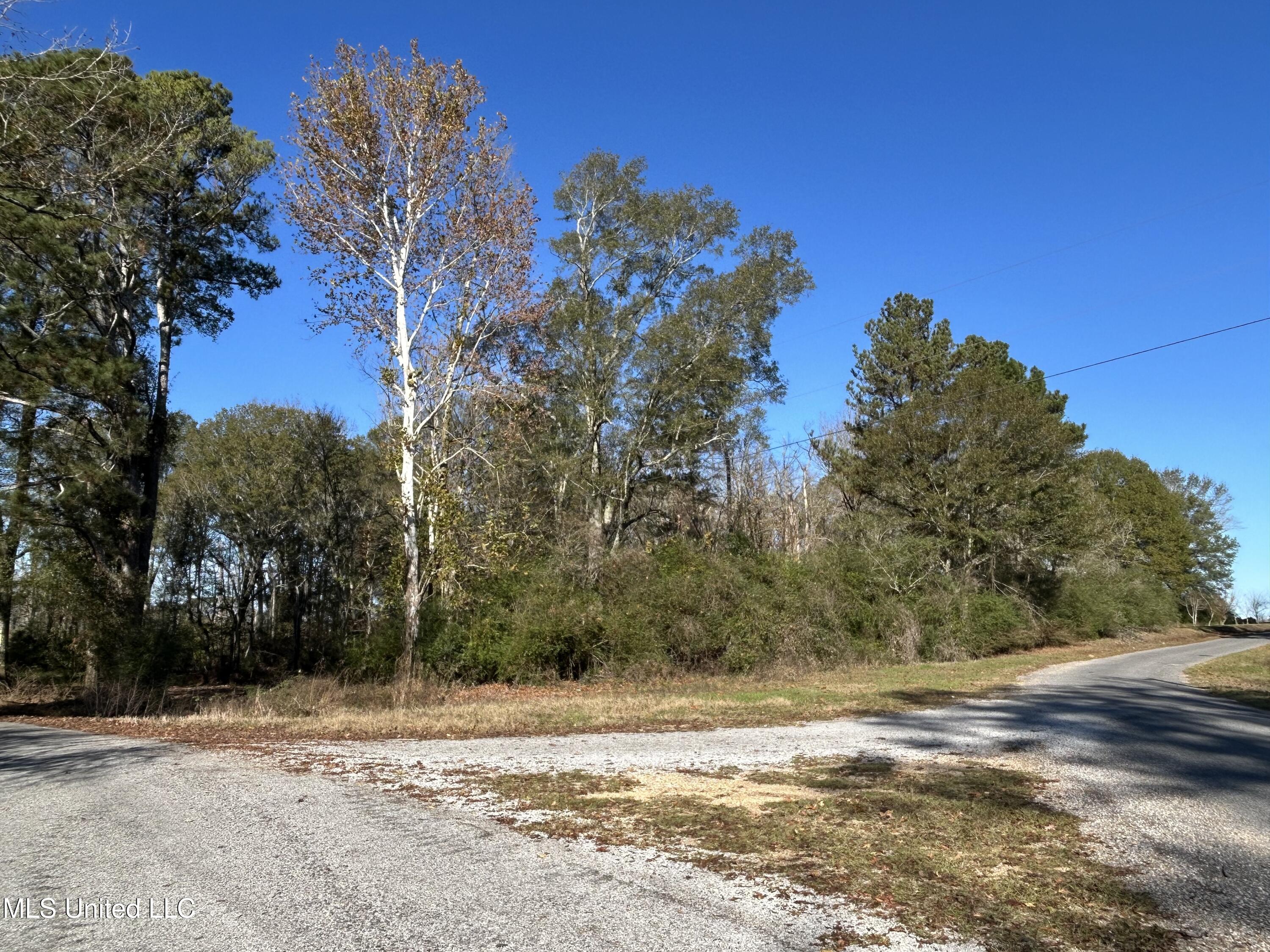Warren Cook Road Property Photo 6