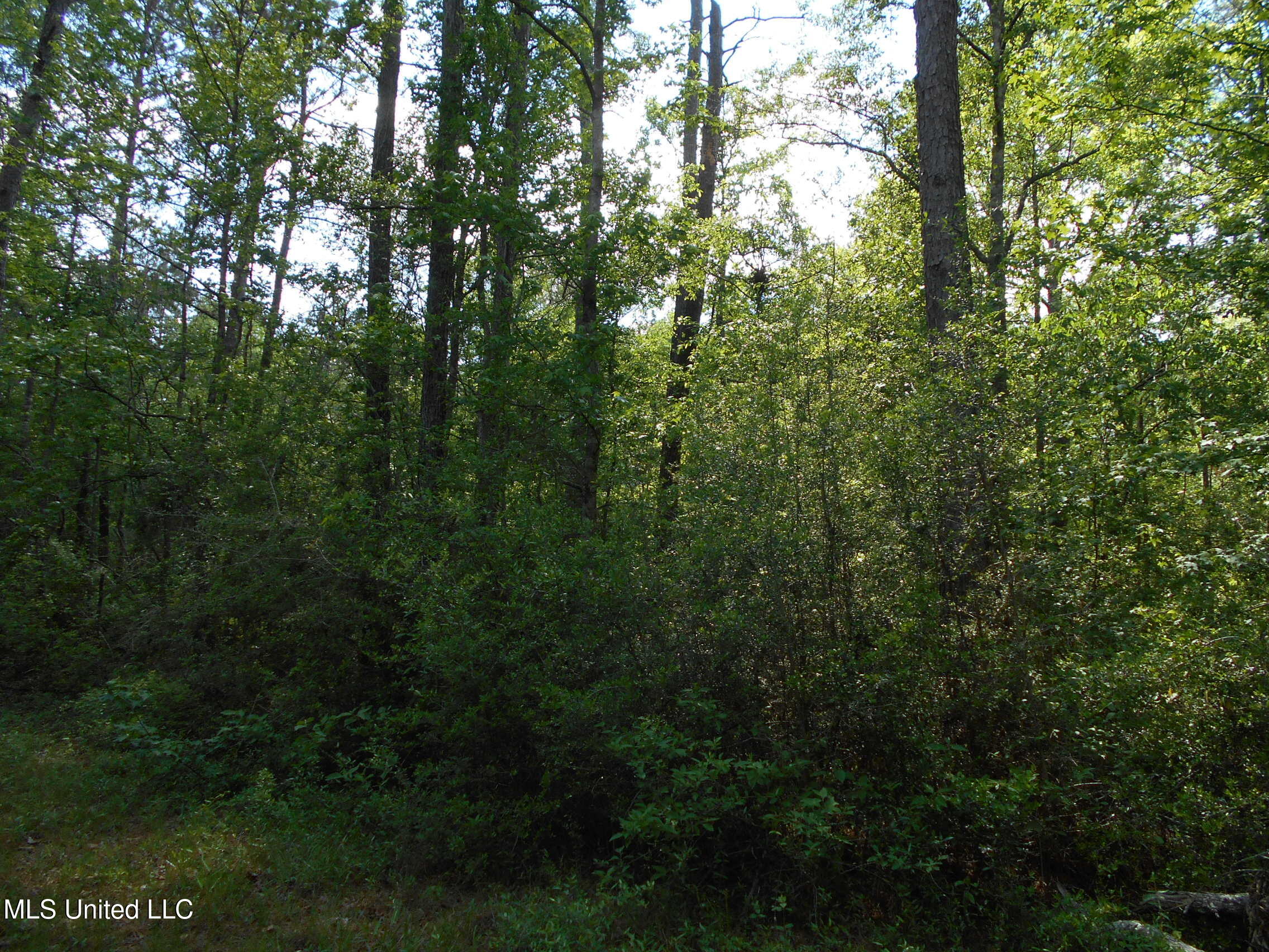 540 Highway 43 Property Photo 31