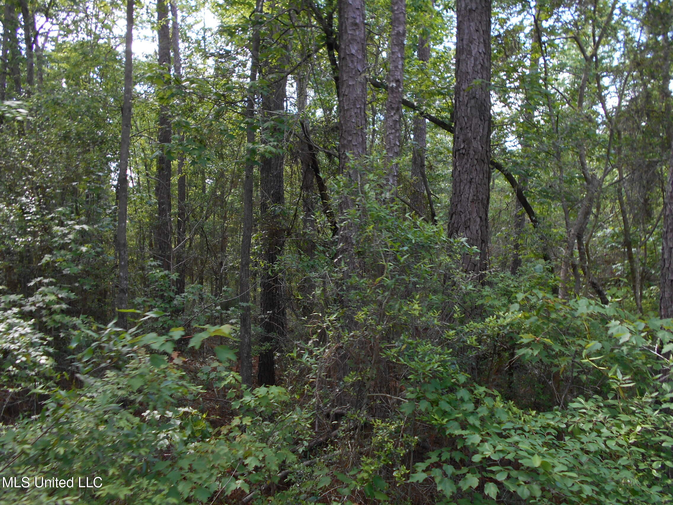540 Highway 43 Property Photo 32