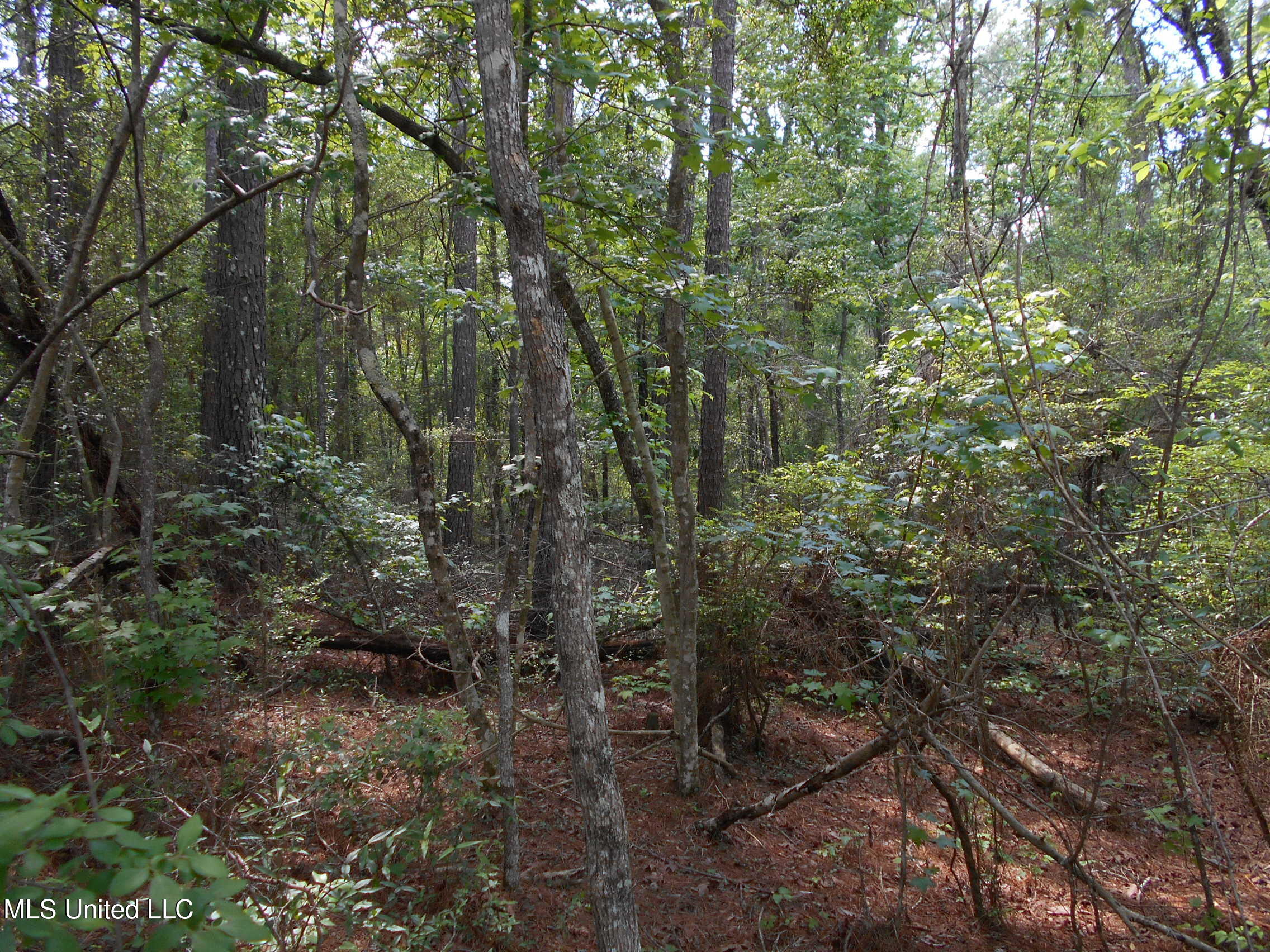 540 Highway 43 Property Photo 33