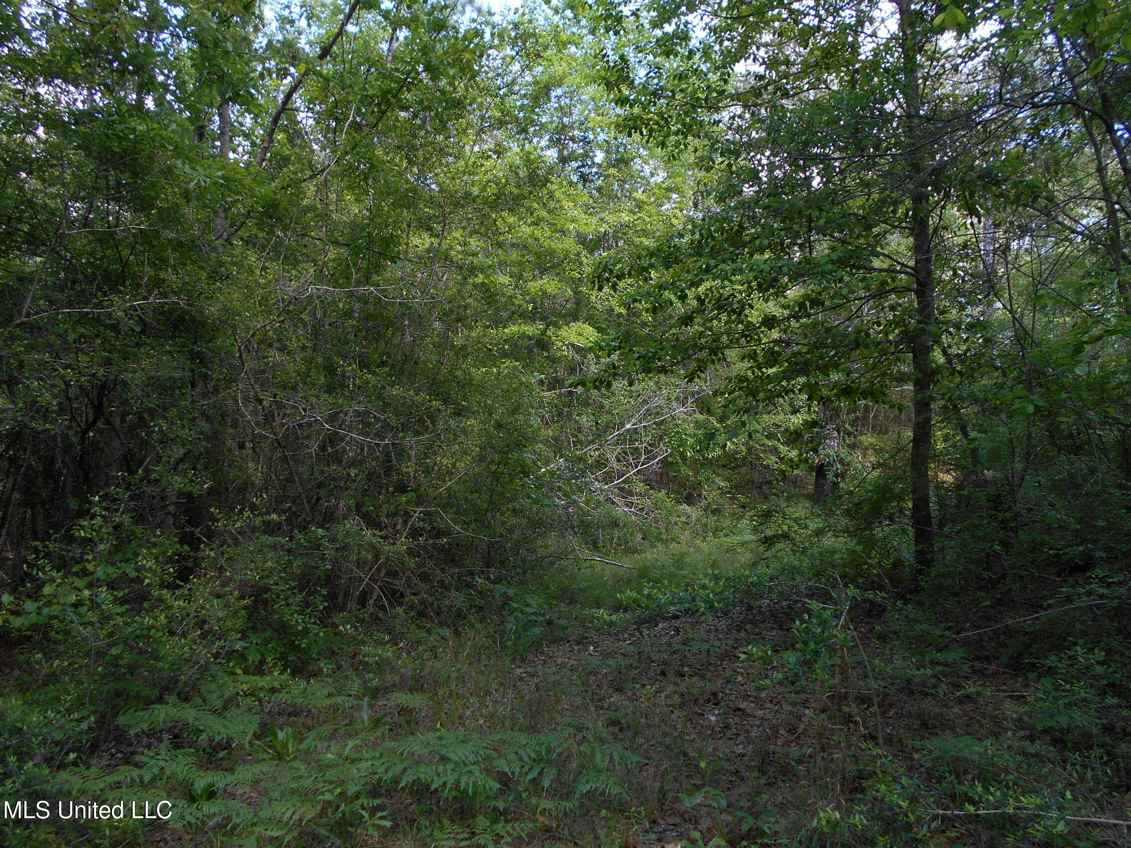 540 Highway 43 Property Photo 34