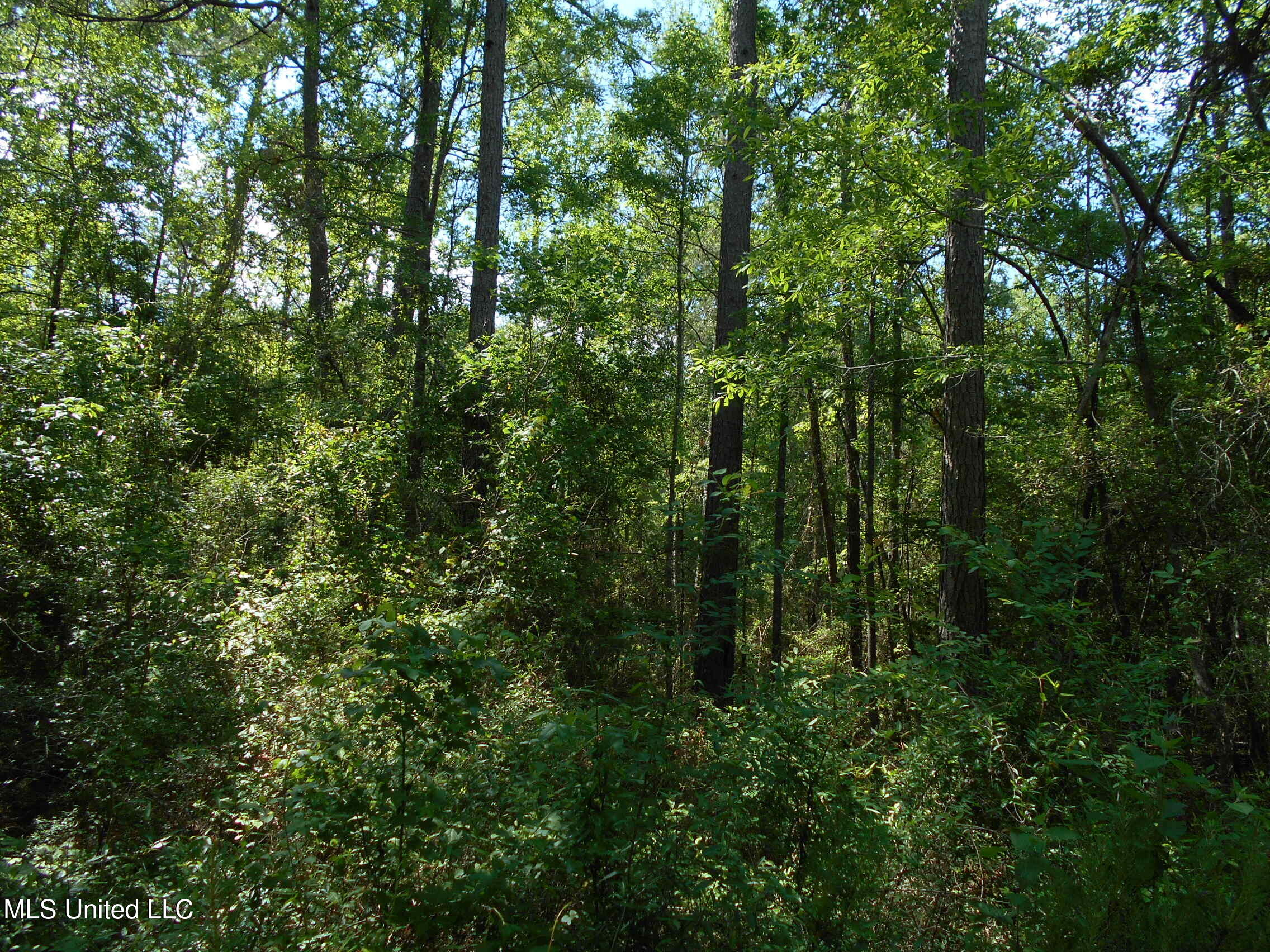 540 Highway 43 Property Photo 35