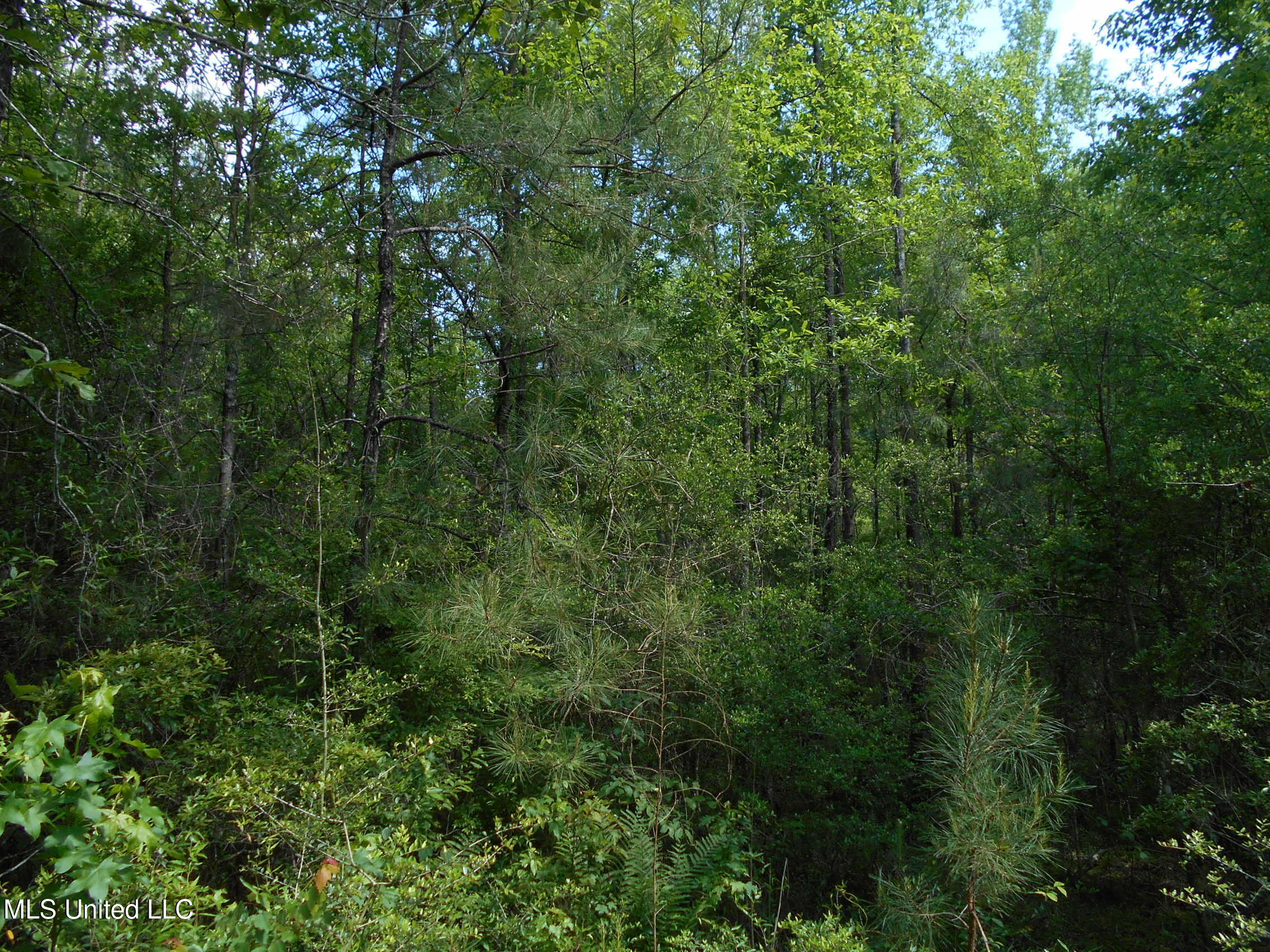 540 Highway 43 Property Photo 36