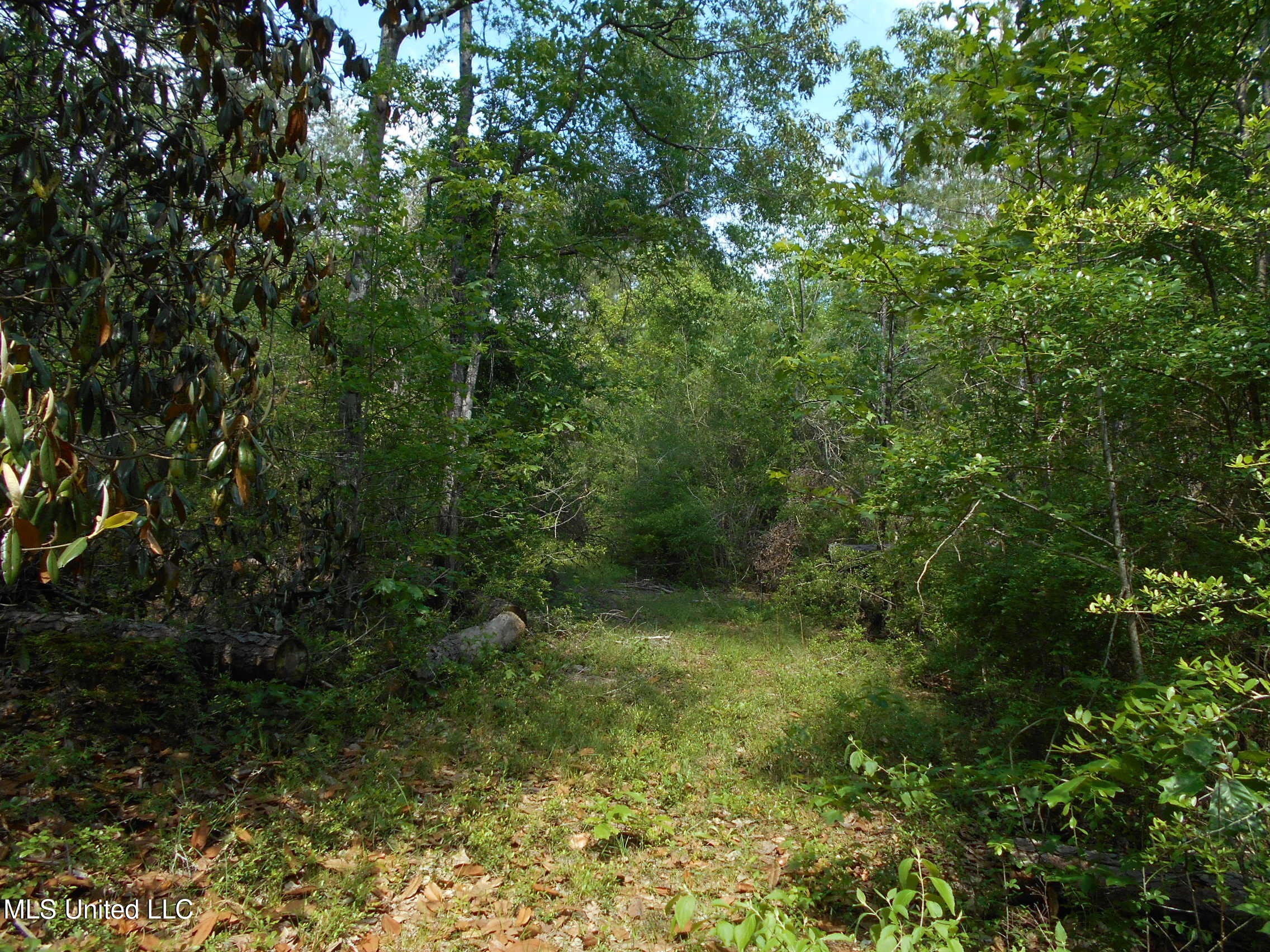 540 Highway 43 Property Photo 37