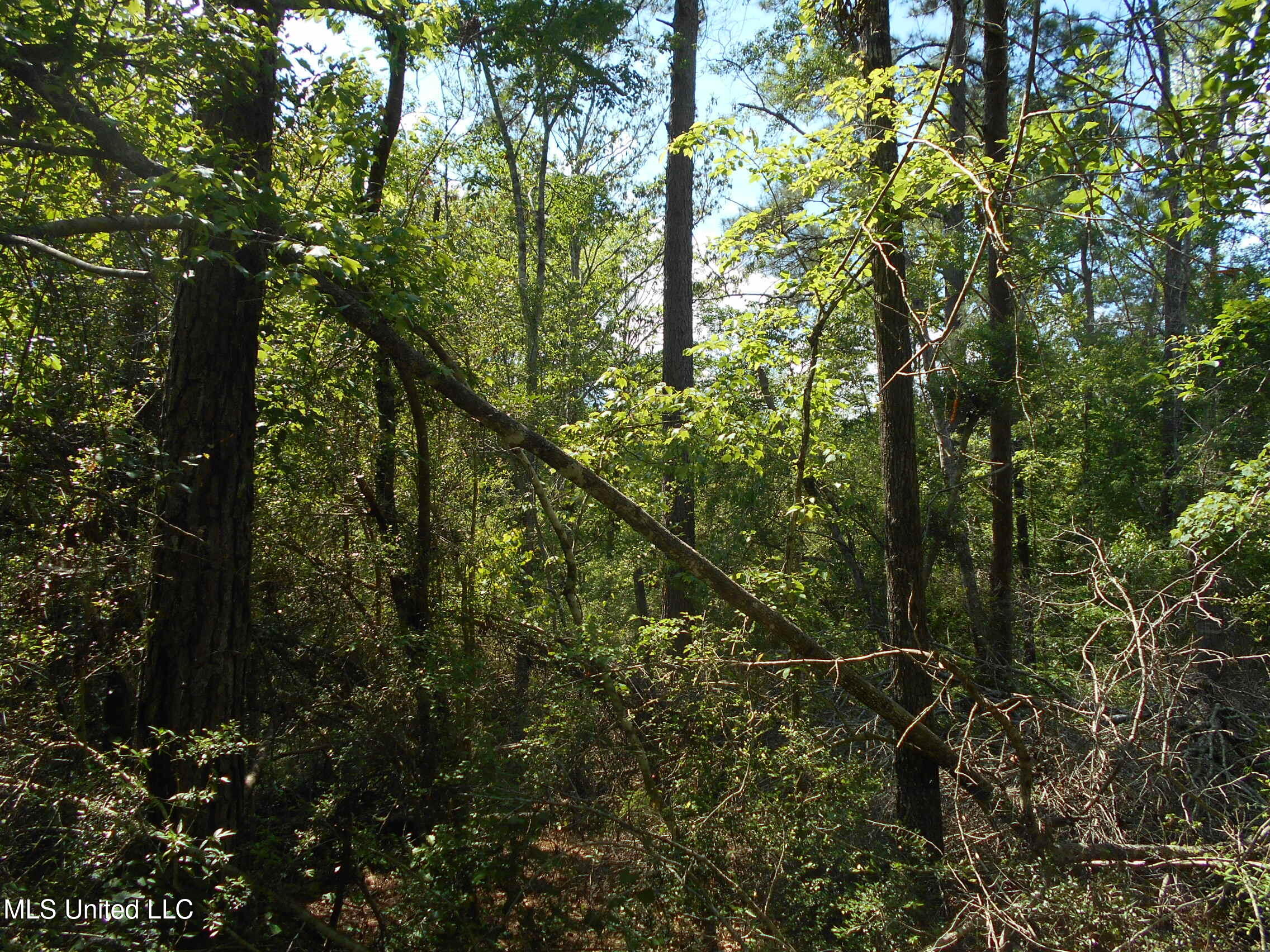 540 Highway 43 Property Photo 38