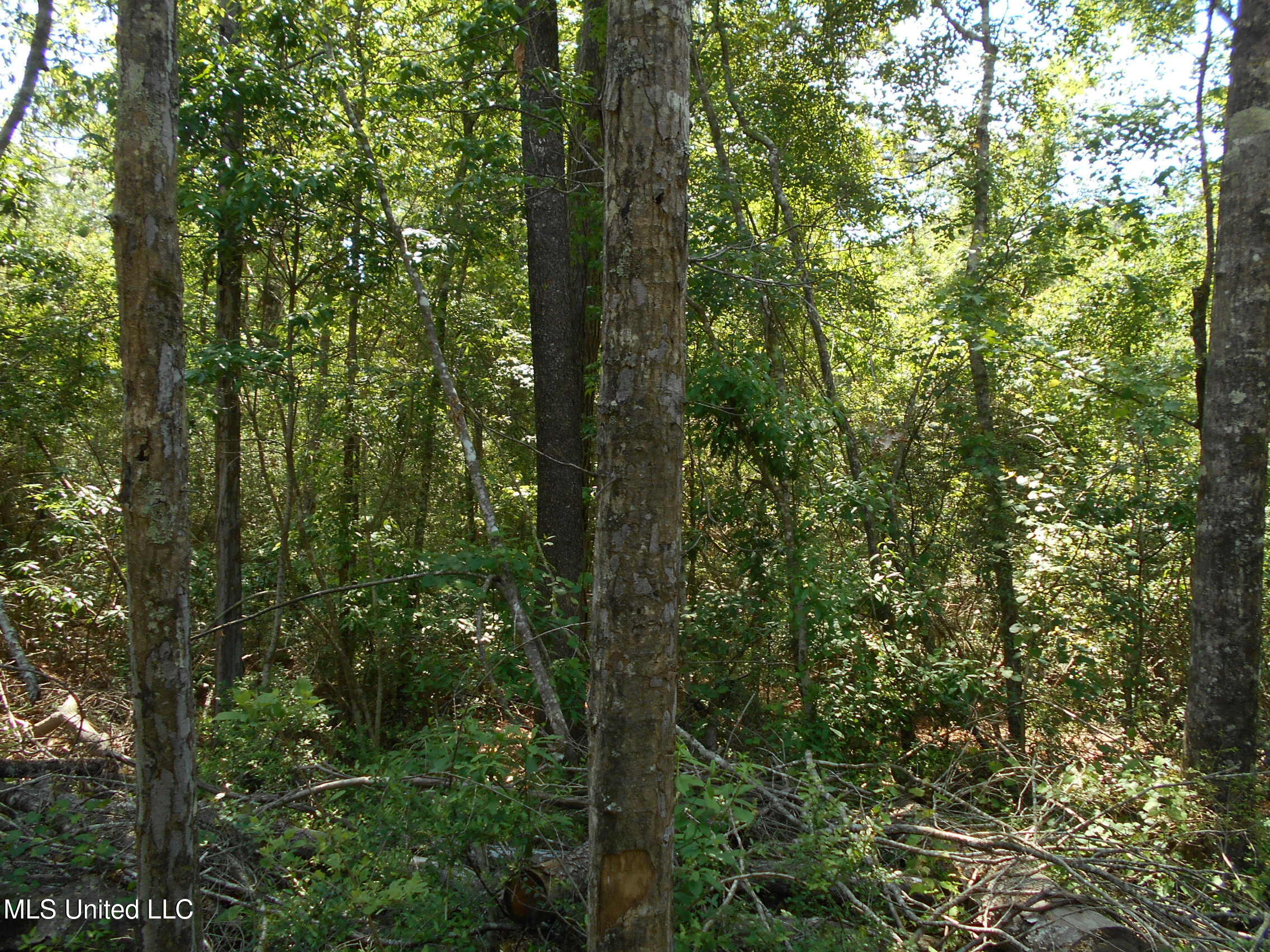 540 Highway 43 Property Photo 39