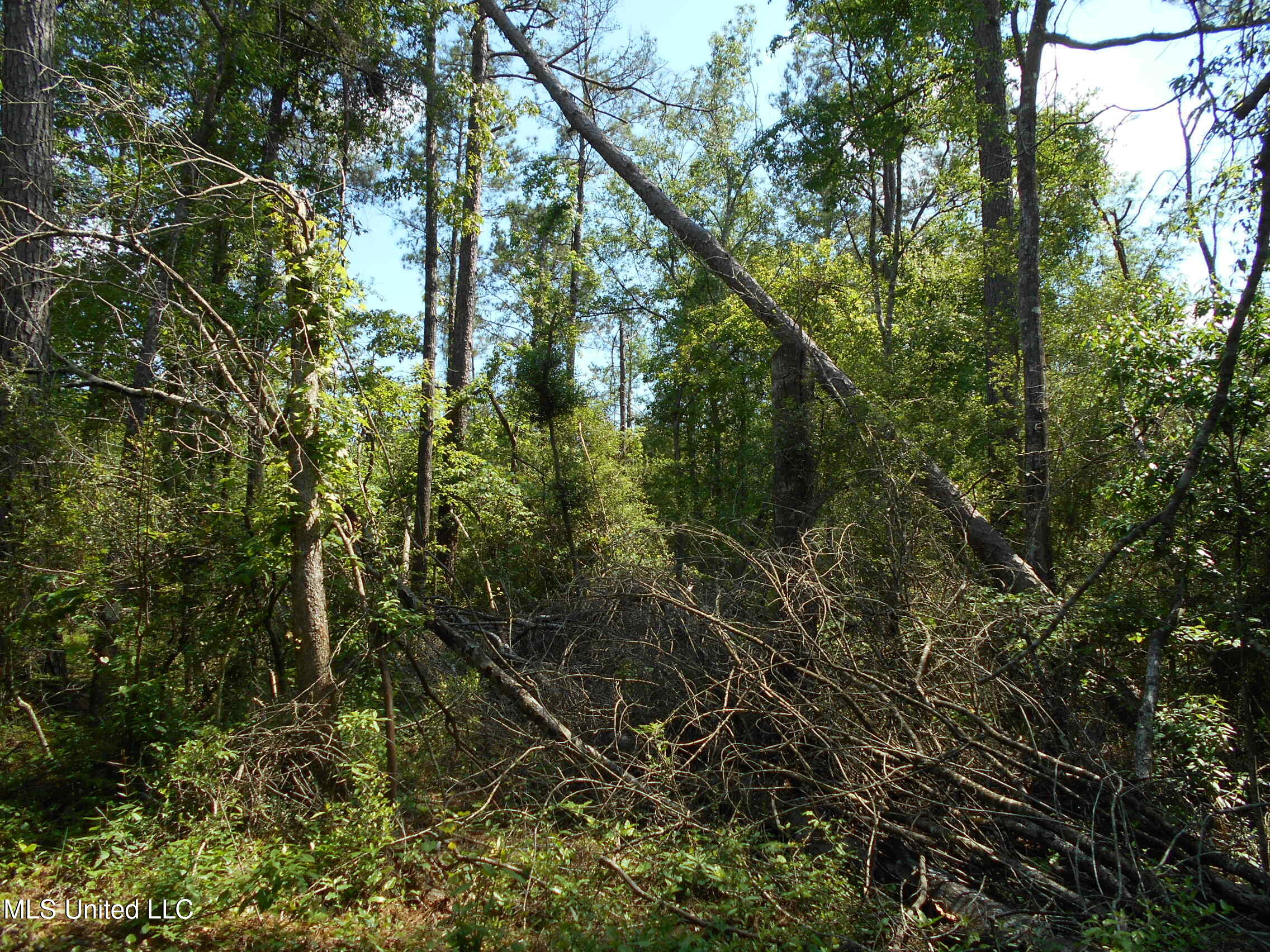 540 Highway 43 Property Photo 40