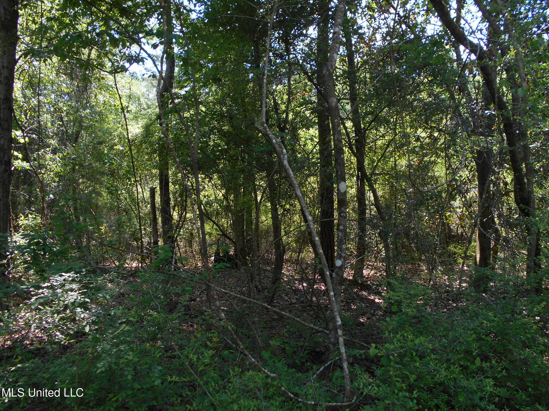 540 Highway 43 Property Photo 41