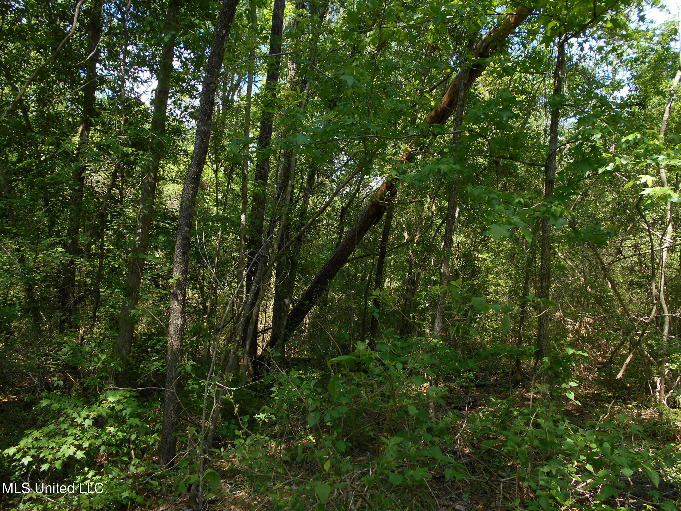540 Highway 43 Property Photo 42