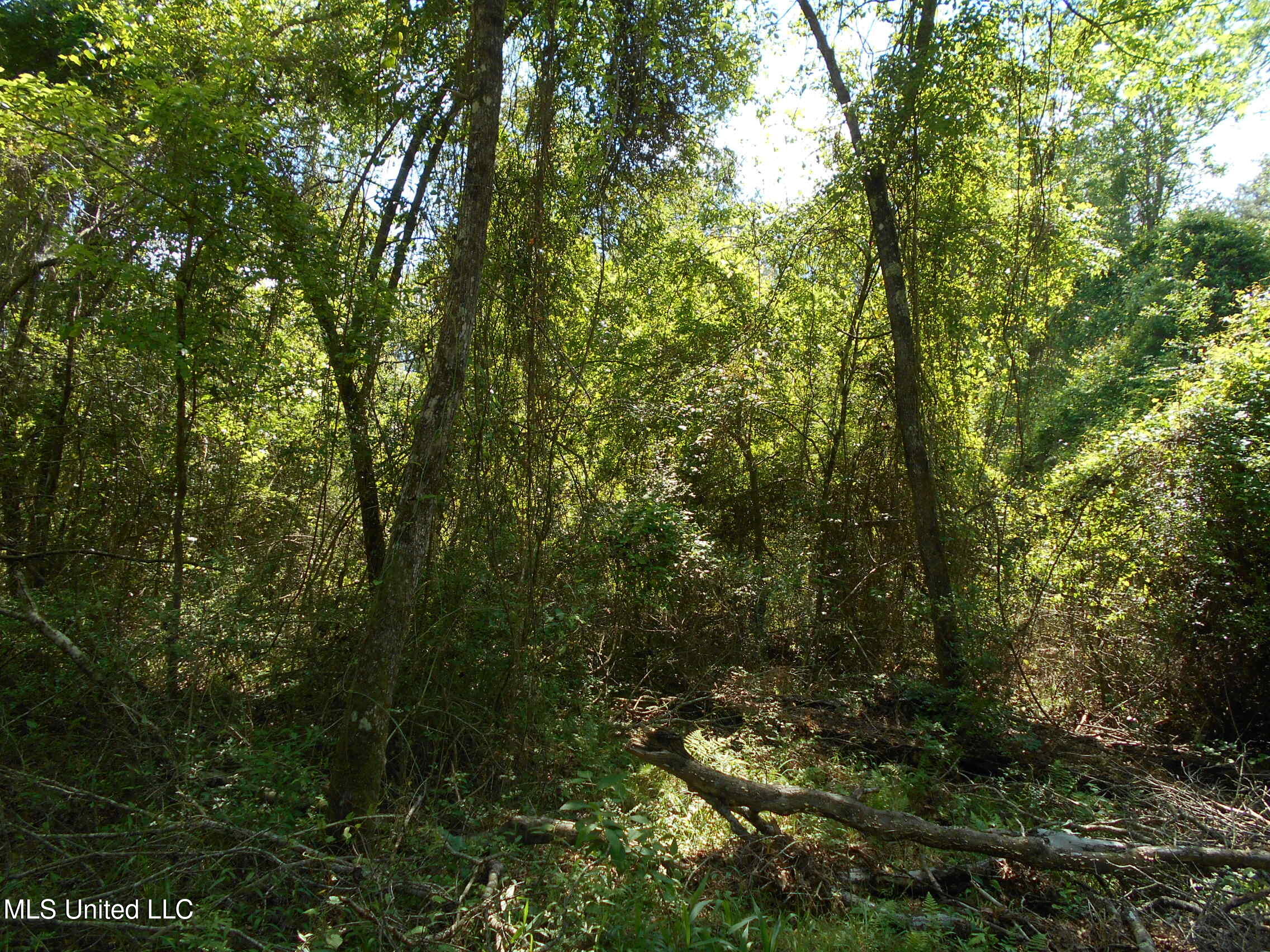 540 Highway 43 Property Photo 43