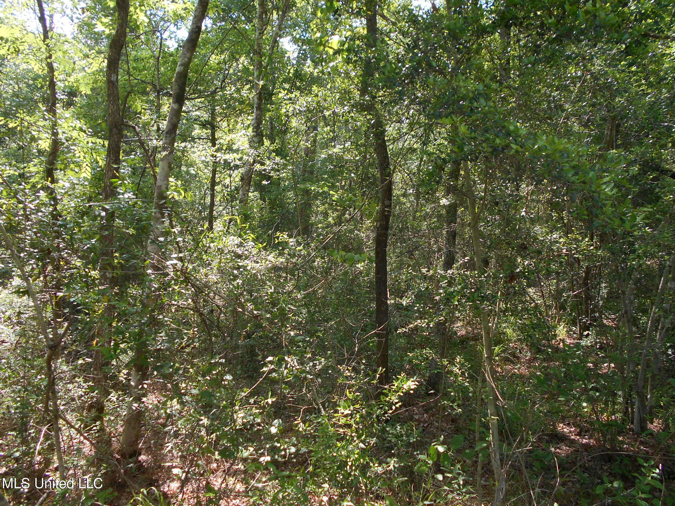 540 Highway 43 Property Photo 44