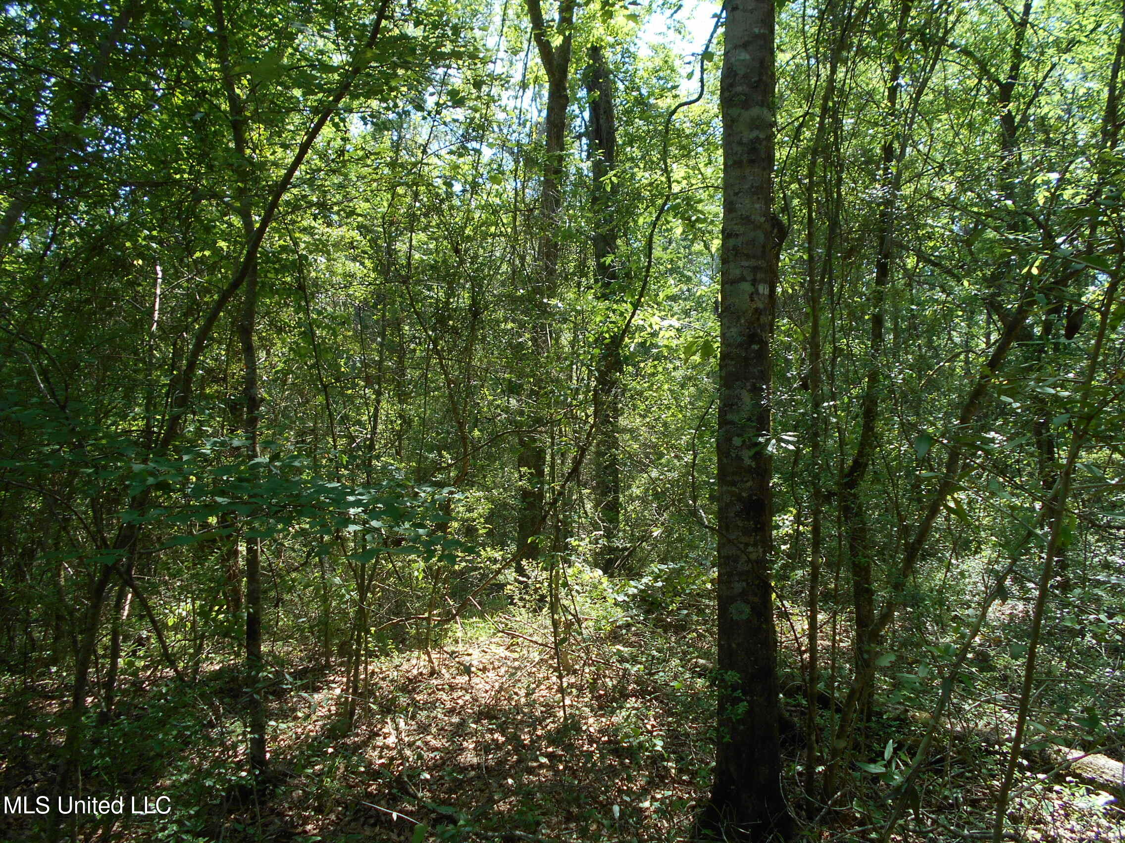 540 Highway 43 Property Photo 45