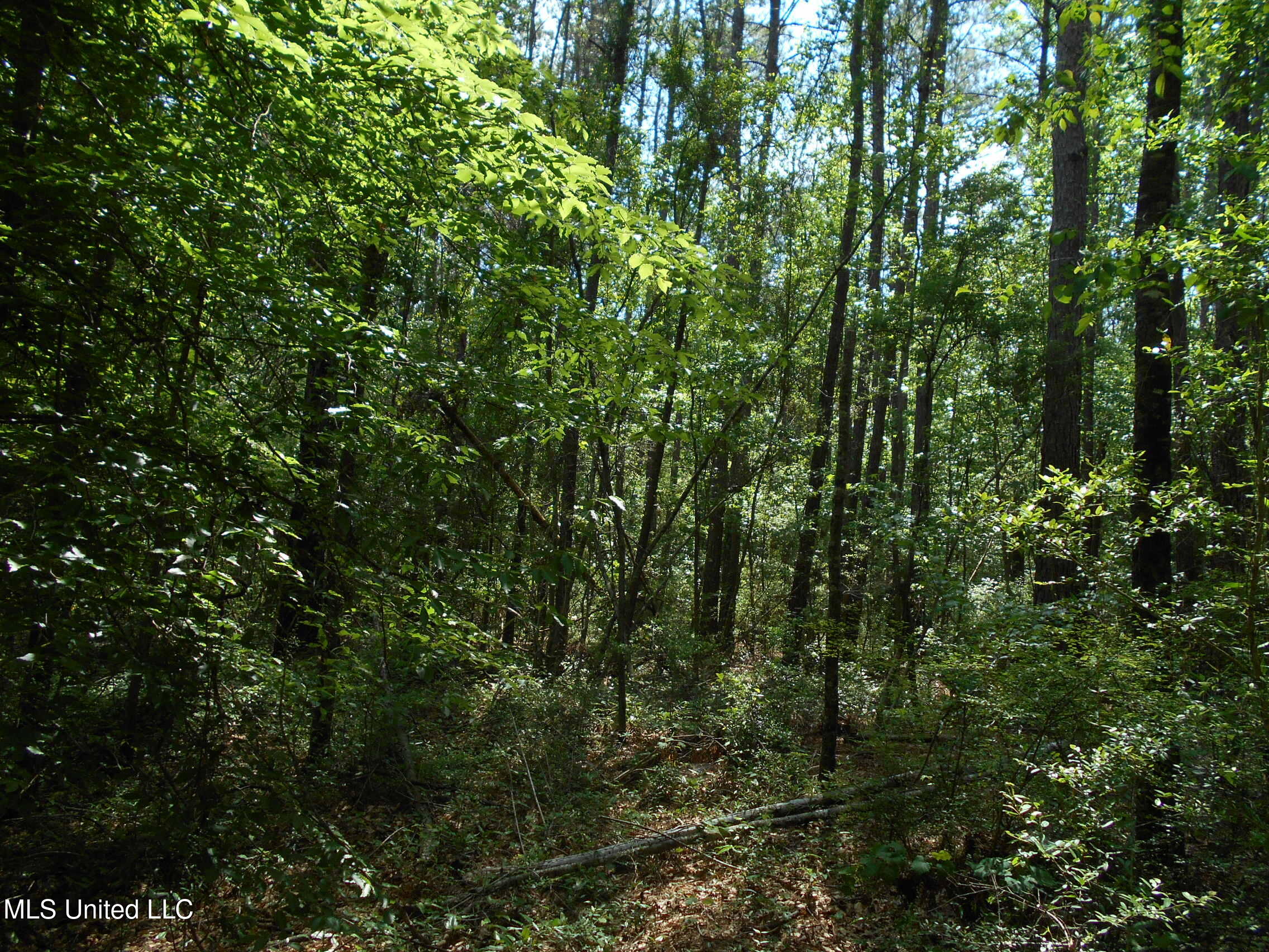 540 Highway 43 Property Photo 46