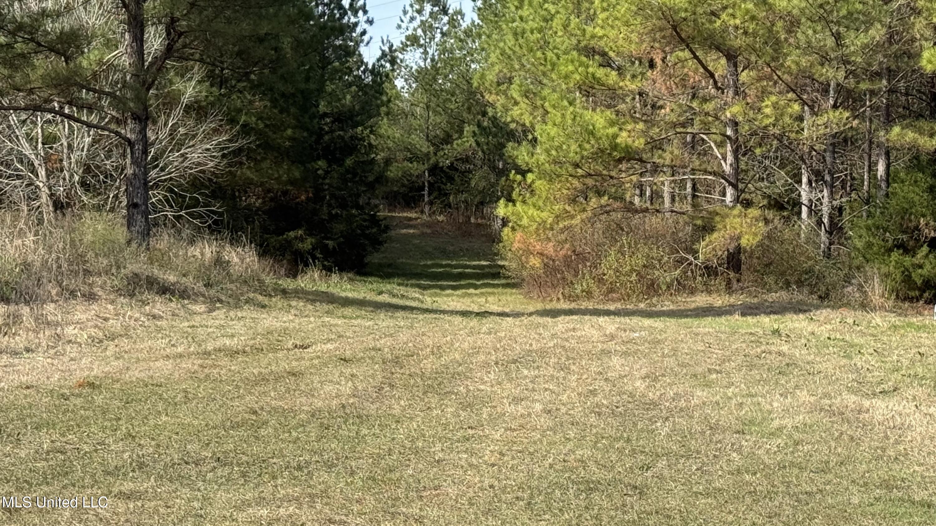 01 Norris-homewood Road Property Photo 3