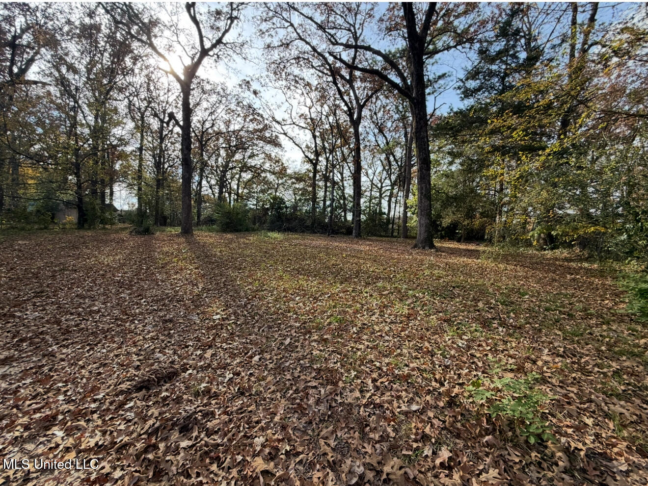 2871 Woodside Drive Property Photo 20