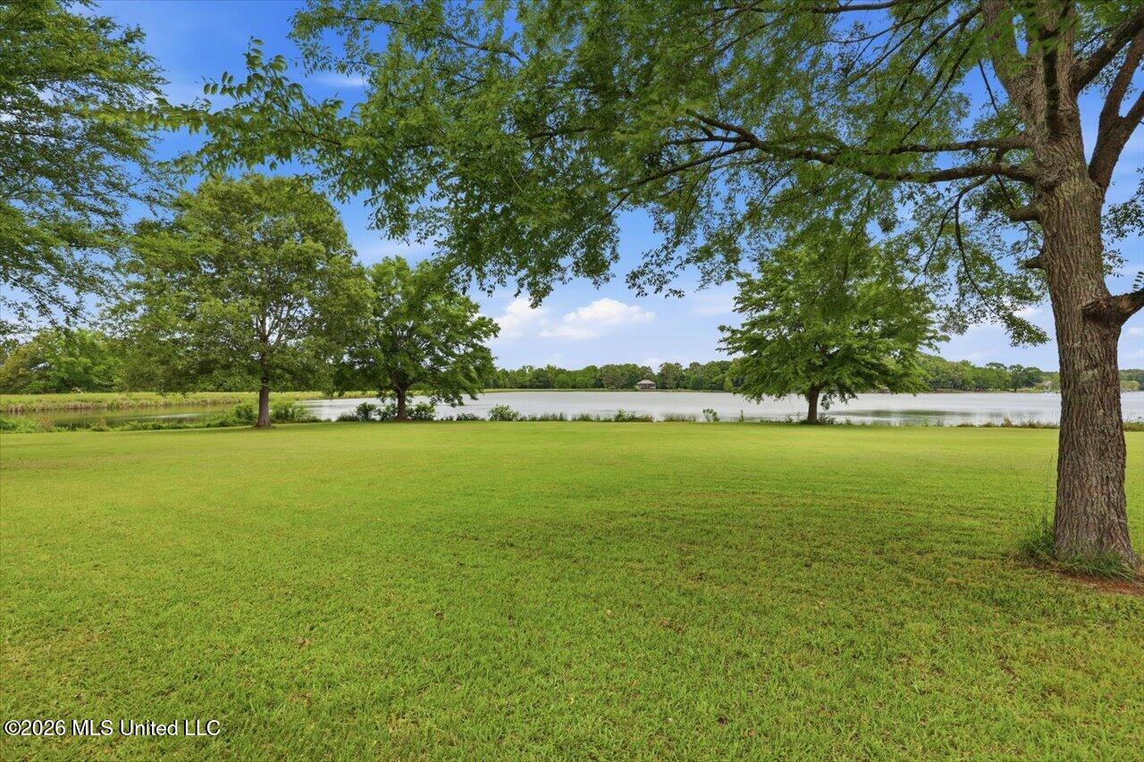 Lot 1 Sanctuary Circle Property Photo 4