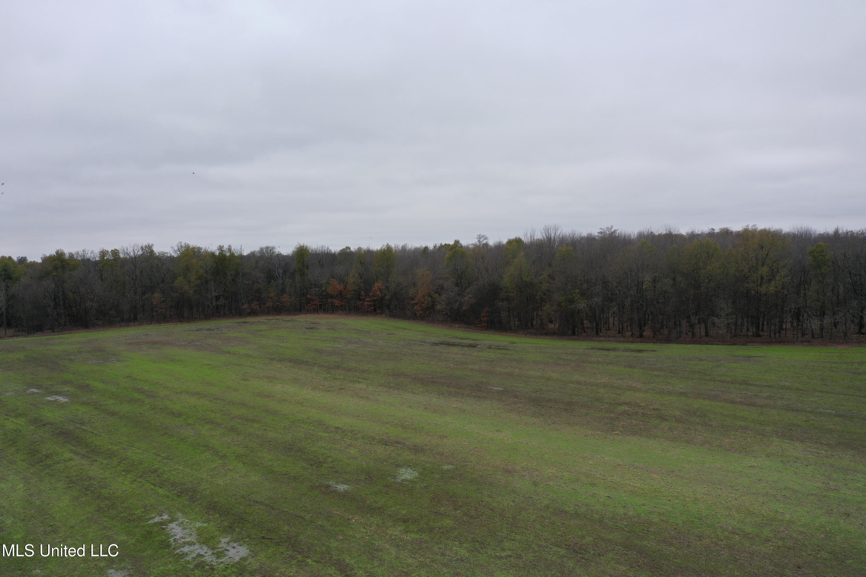 2000 Walnut Lake Road Property Photo 2