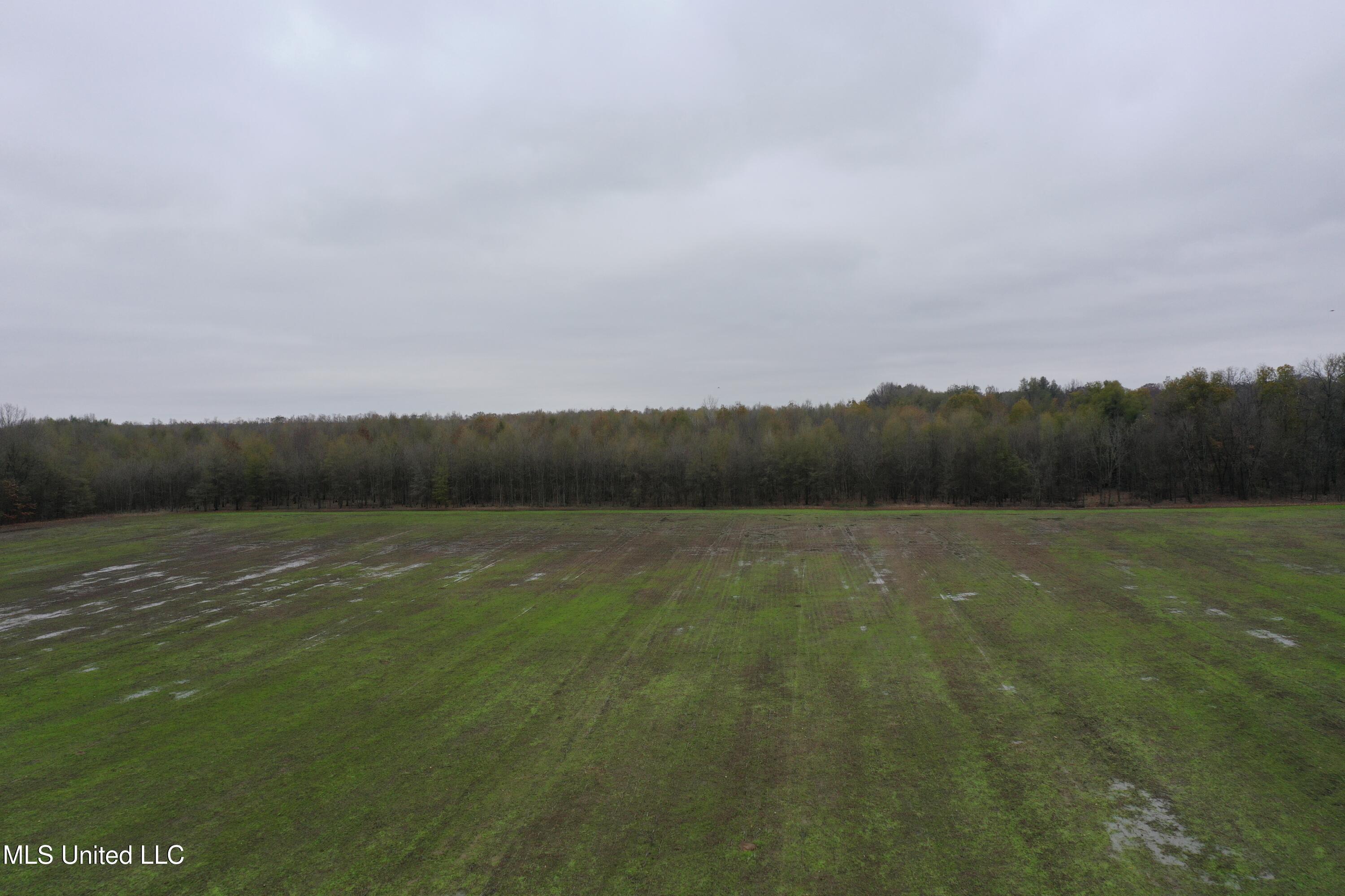 2000 Walnut Lake Road Property Photo 3