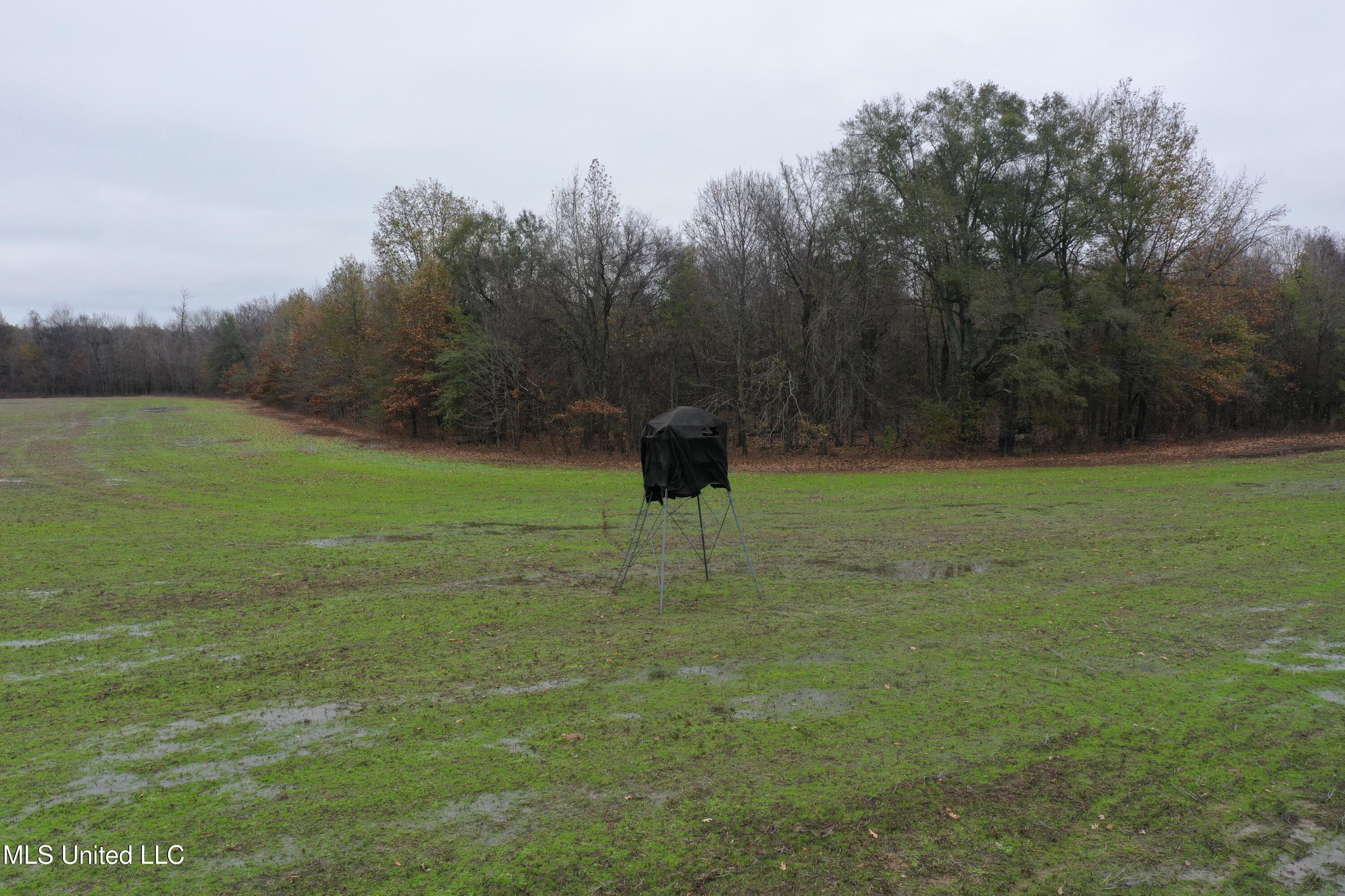 2000 Walnut Lake Road Property Photo 4