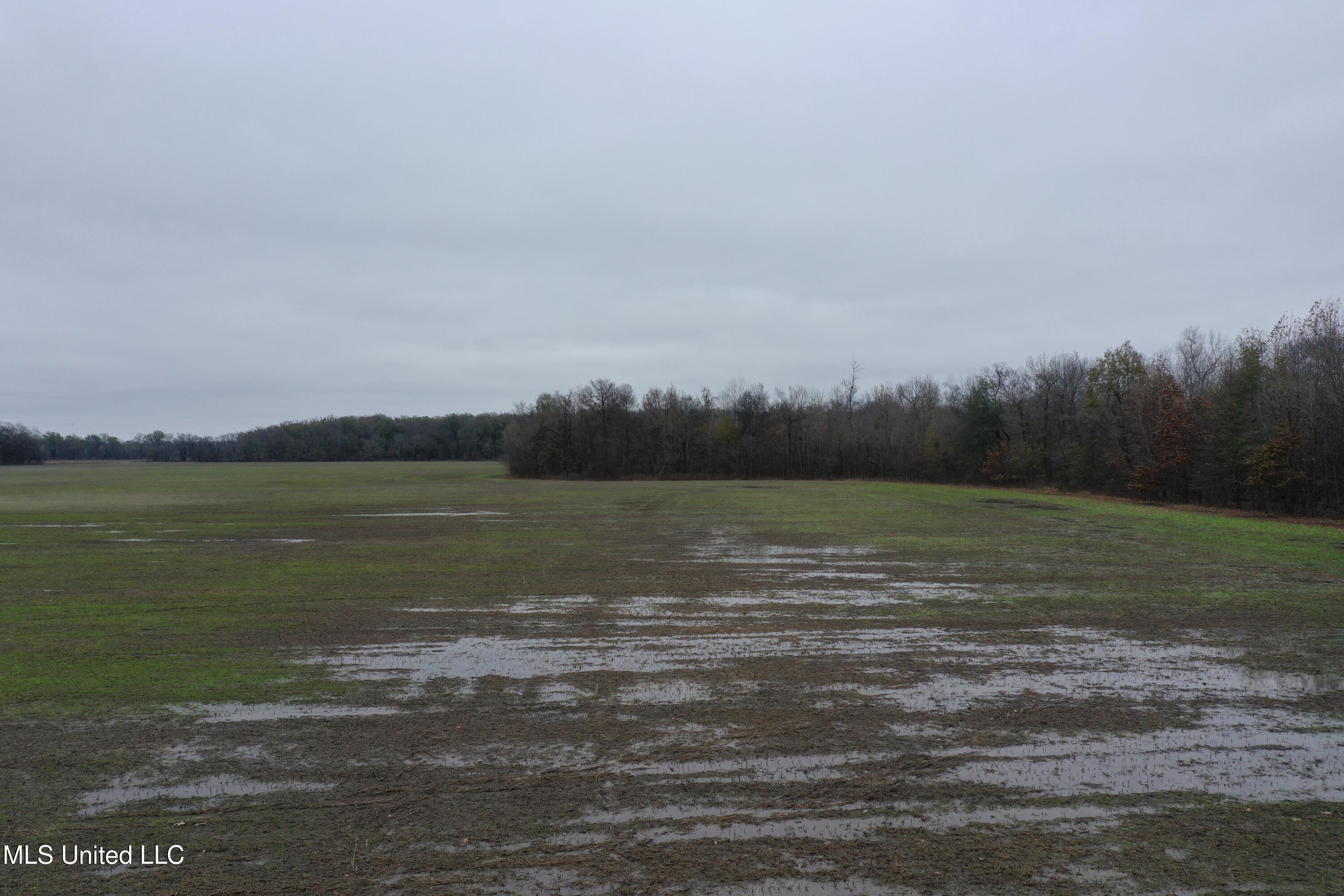 2000 Walnut Lake Road Property Photo 6