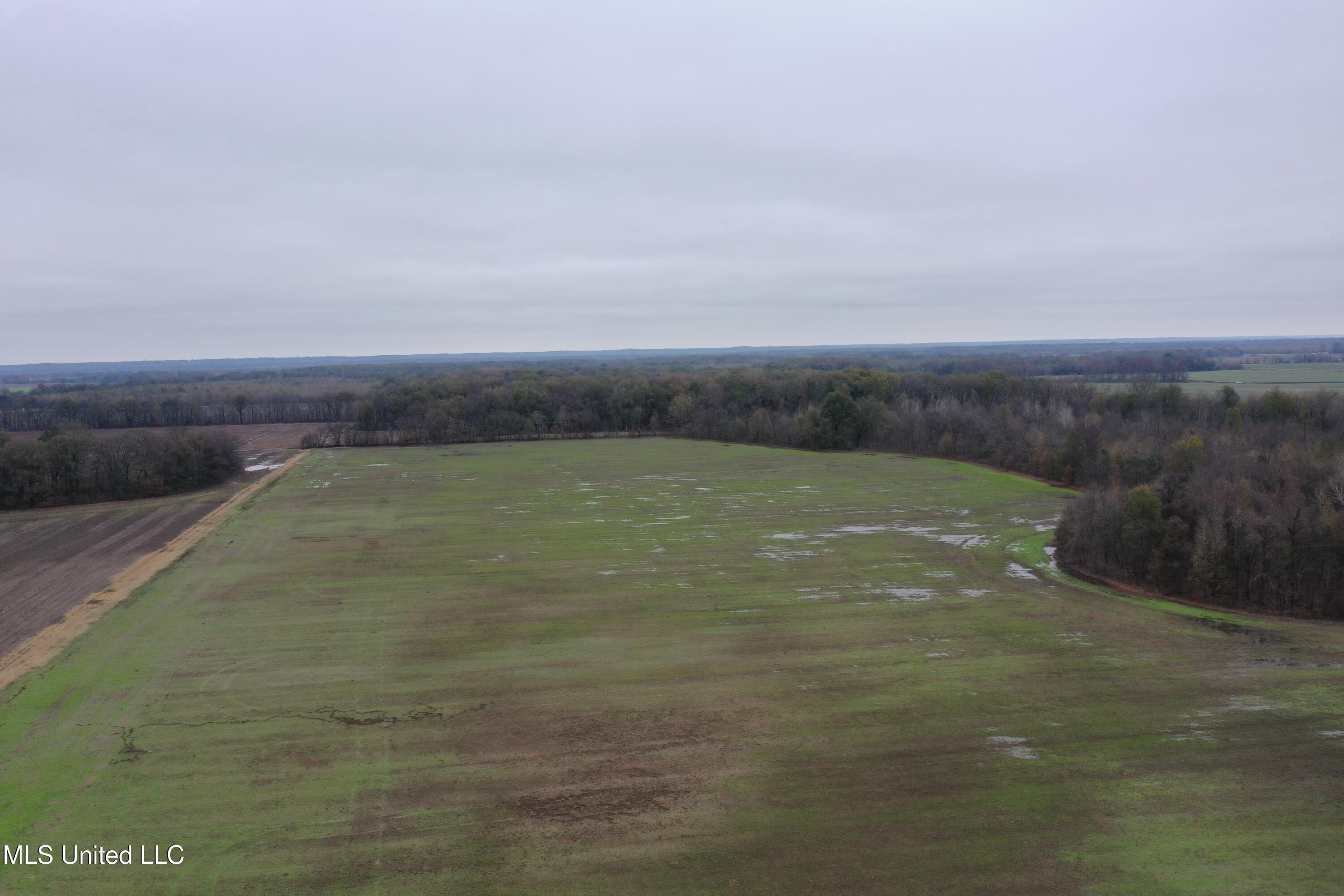 2000 Walnut Lake Road Property Photo 7