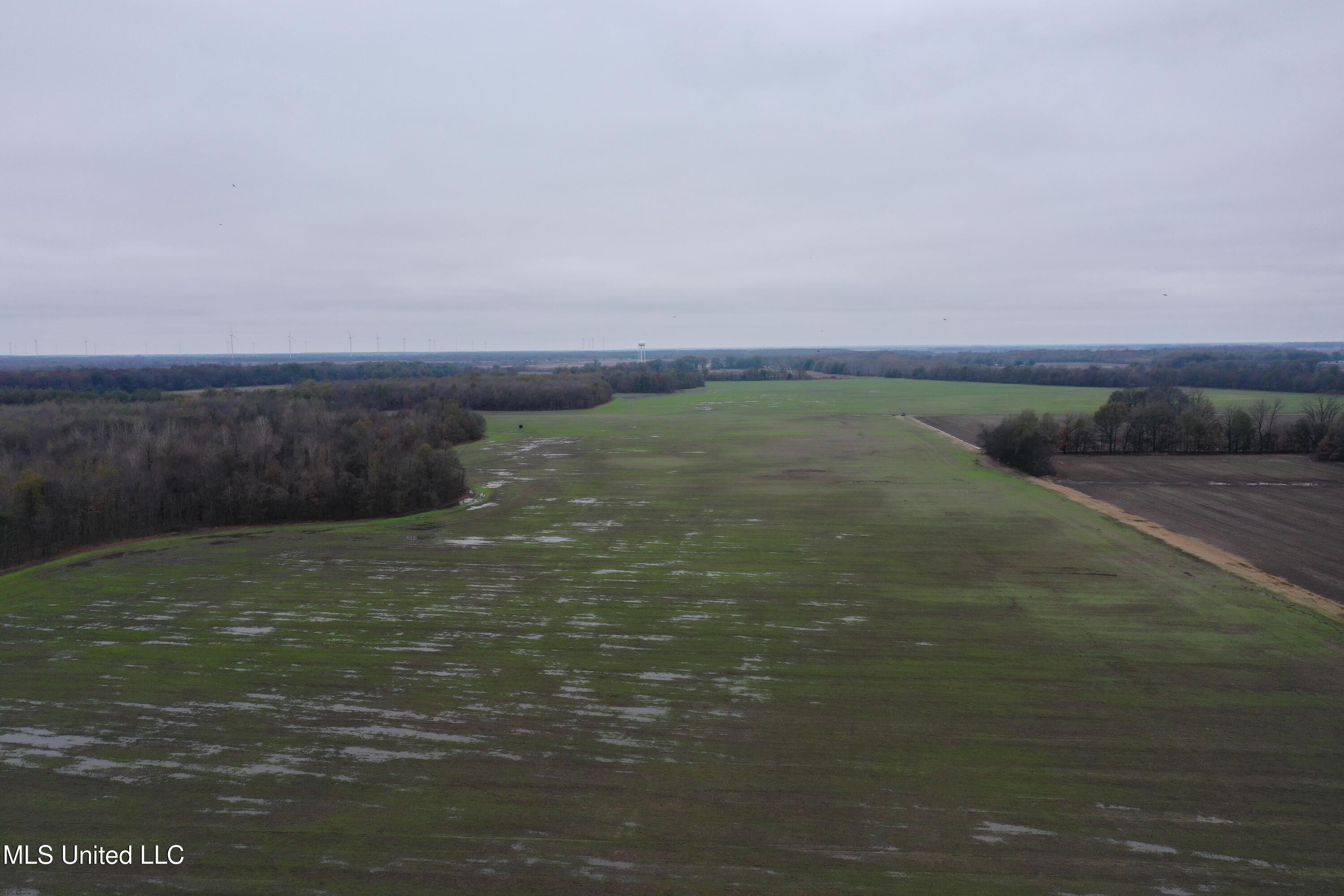 2000 Walnut Lake Road Property Photo 8