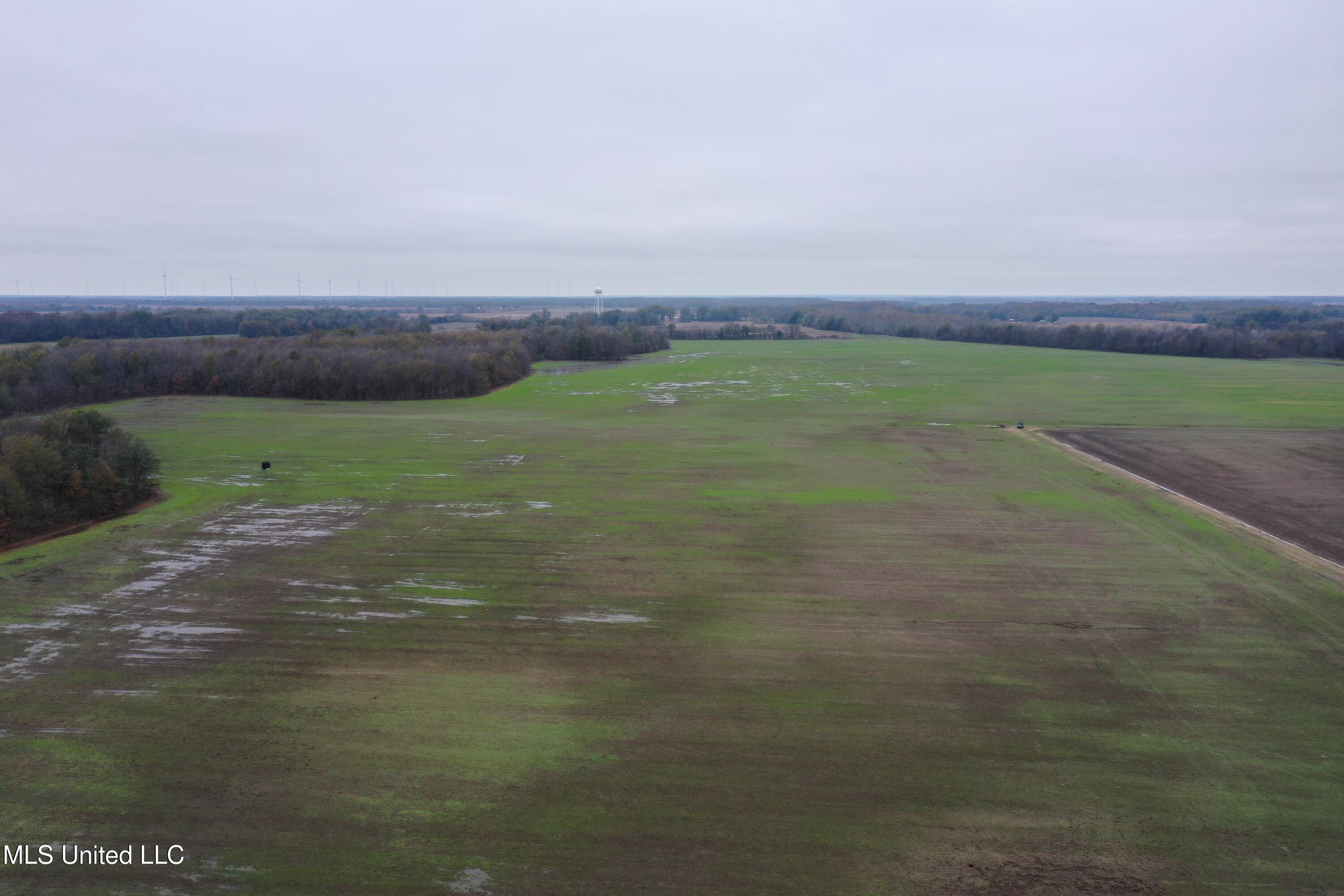 2000 Walnut Lake Road Property Photo 9