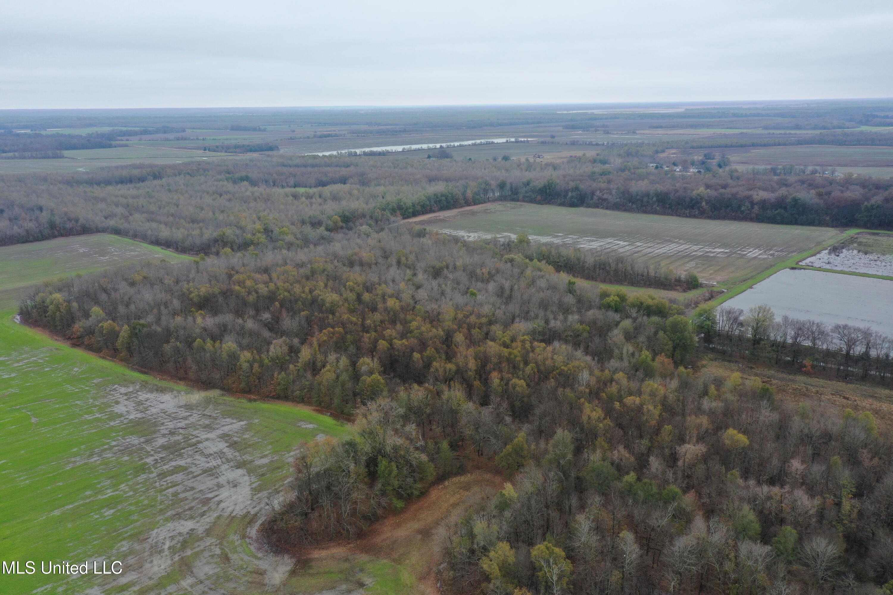 2000 Walnut Lake Road Property Photo 18