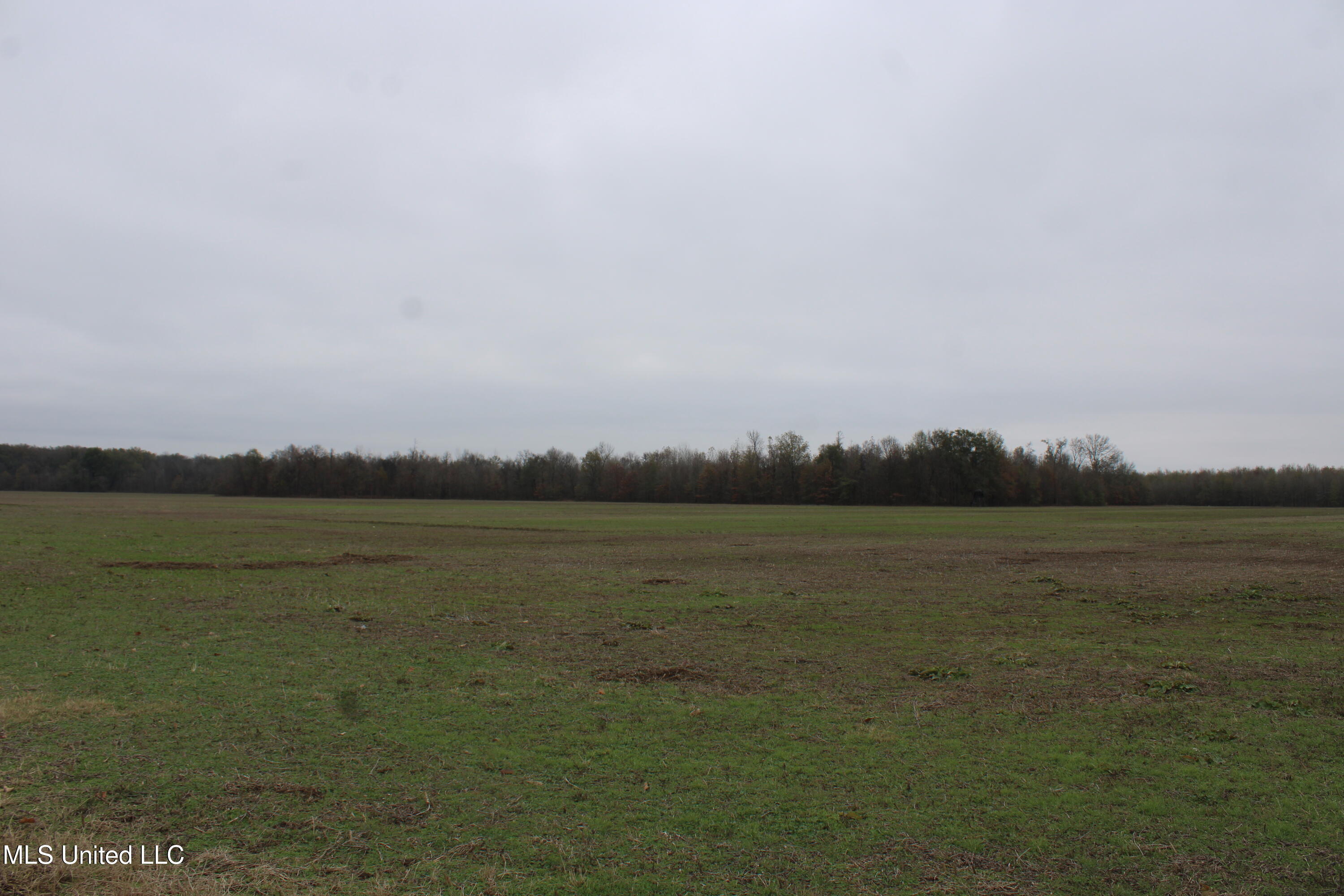 2000 Walnut Lake Road Property Photo 22