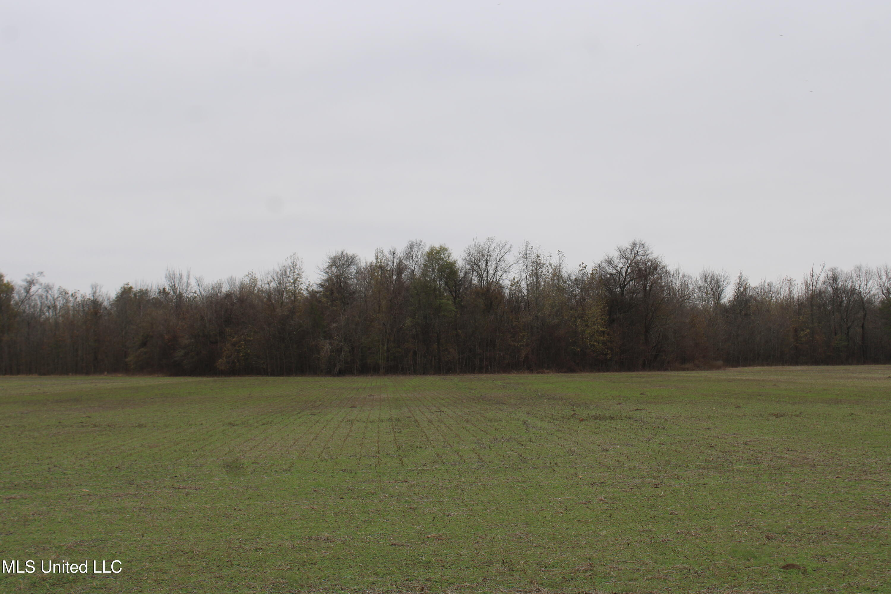 2000 Walnut Lake Road Property Photo 30