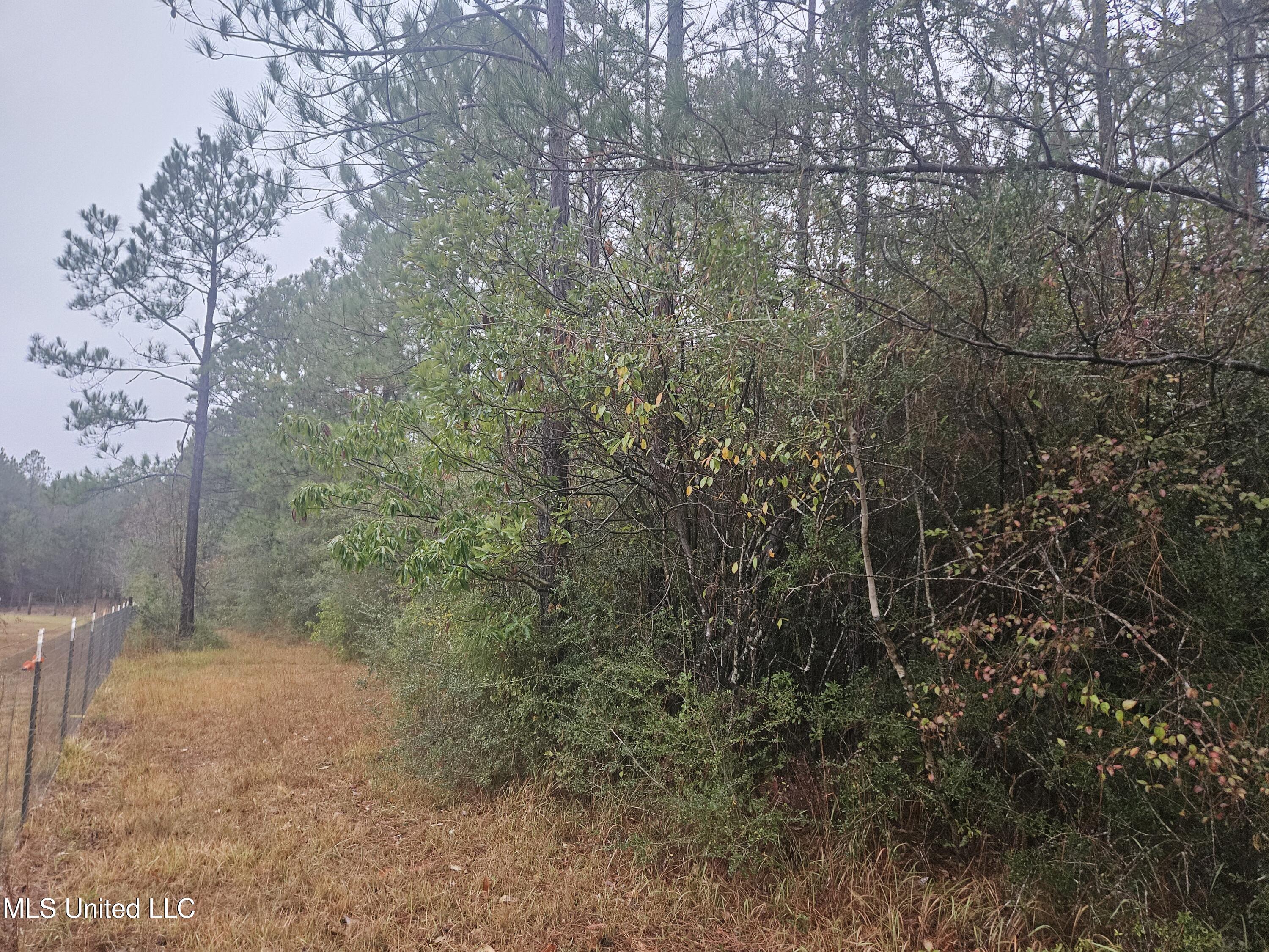 E Lake Cypress Drive Property Photo 2